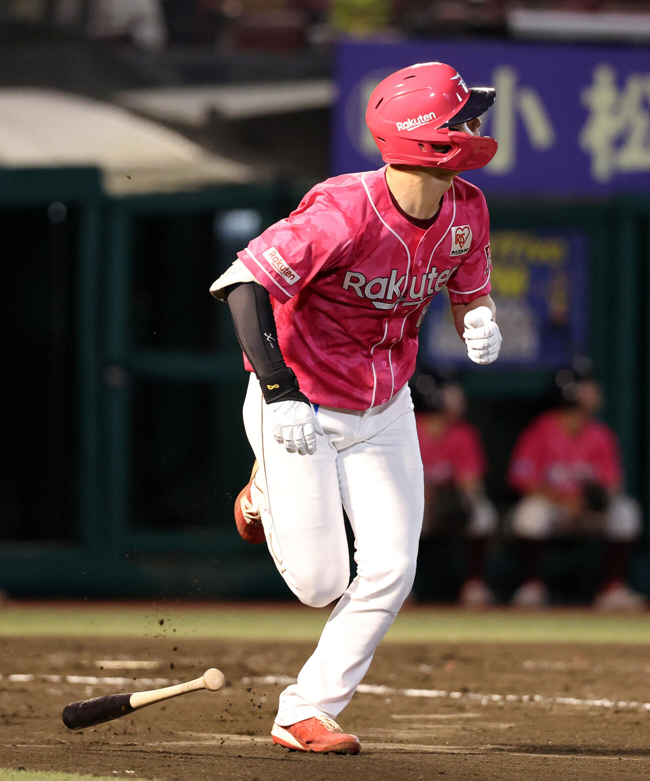 楽天対日本ハム　2回裏楽天1死、辰己涼介は左越えソロ本塁打を放つ（撮影・浅見桂子）