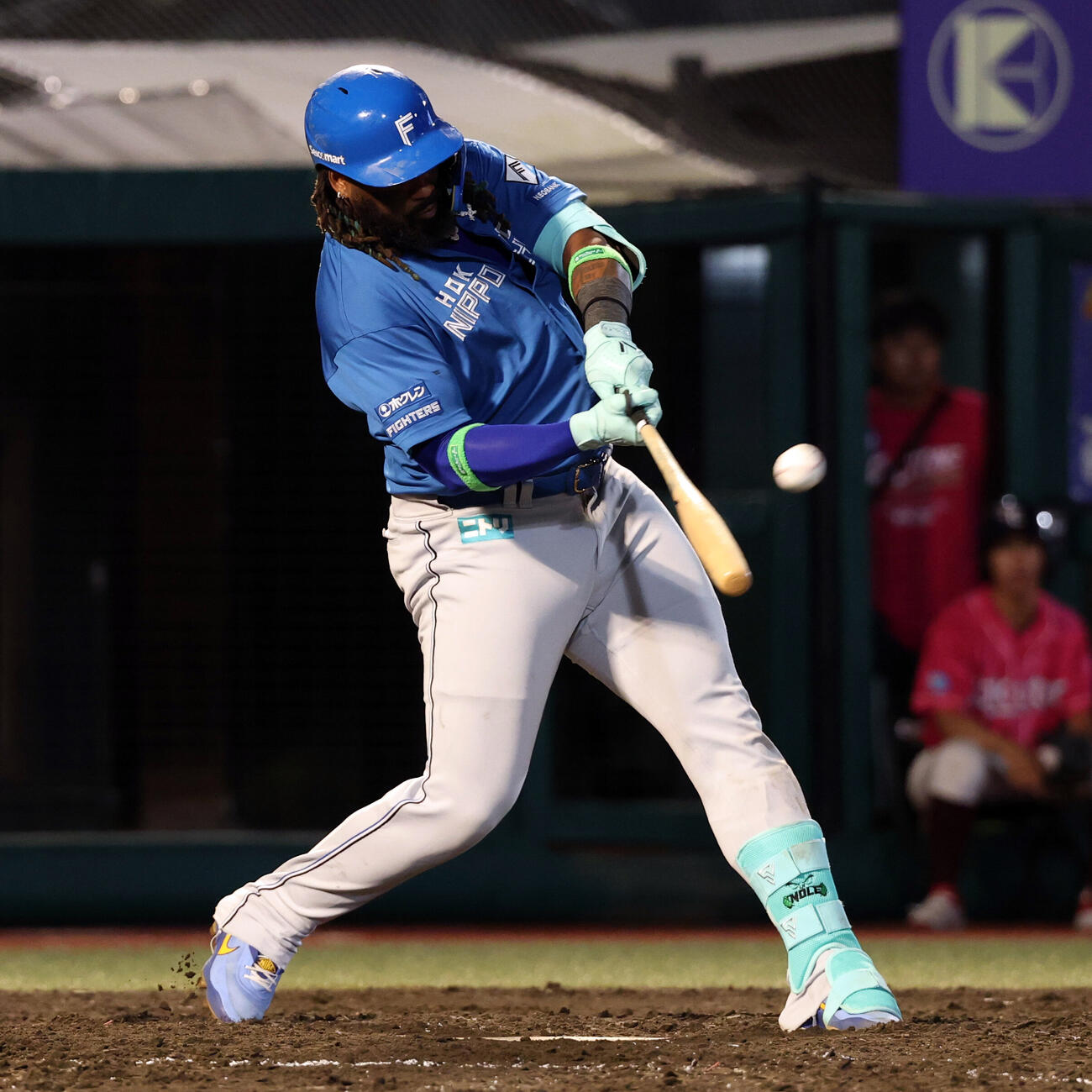 楽天対日本ハム　5回表日本ハム無死一塁、レイエスは30号2点本塁打を放つ（撮影・浅見桂子）