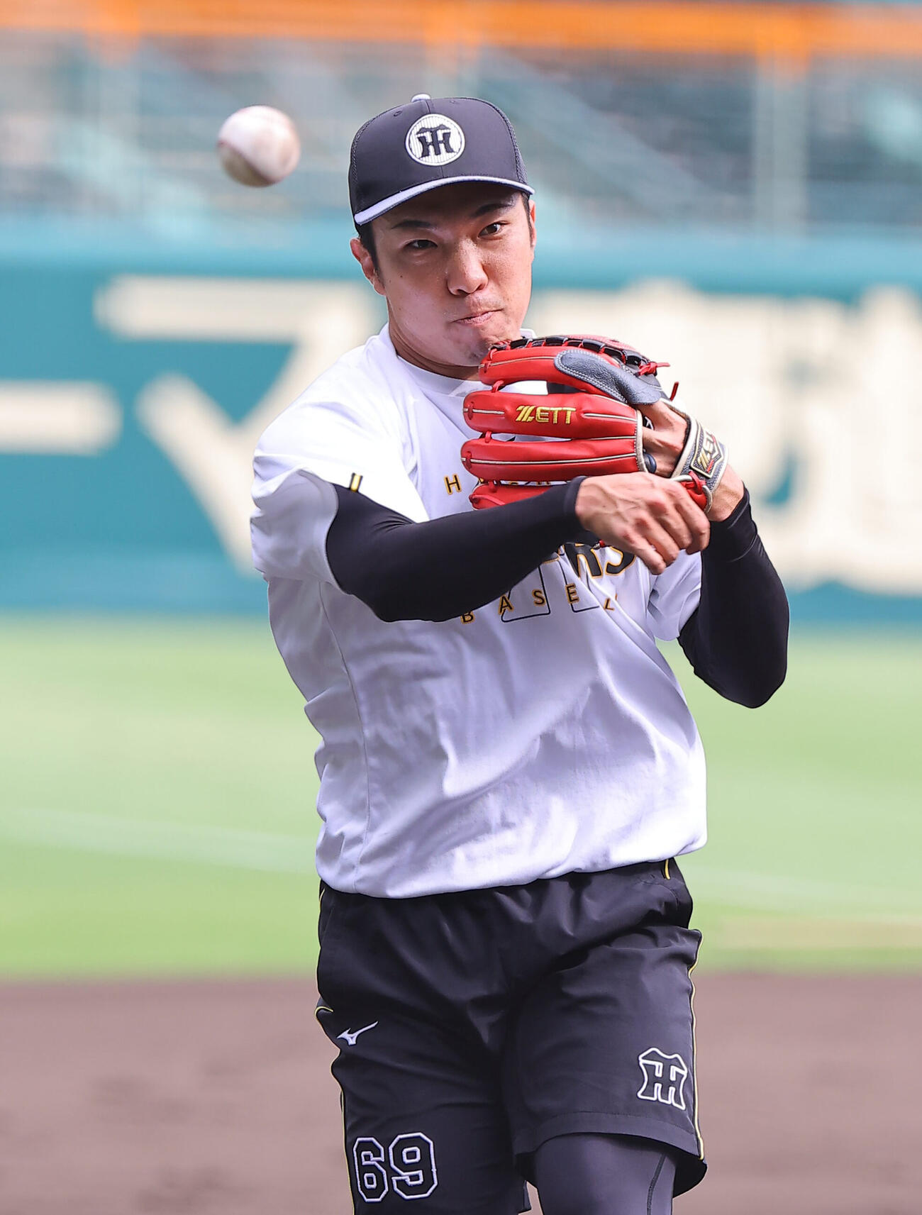 阪神石井大智（2026年5月撮影）