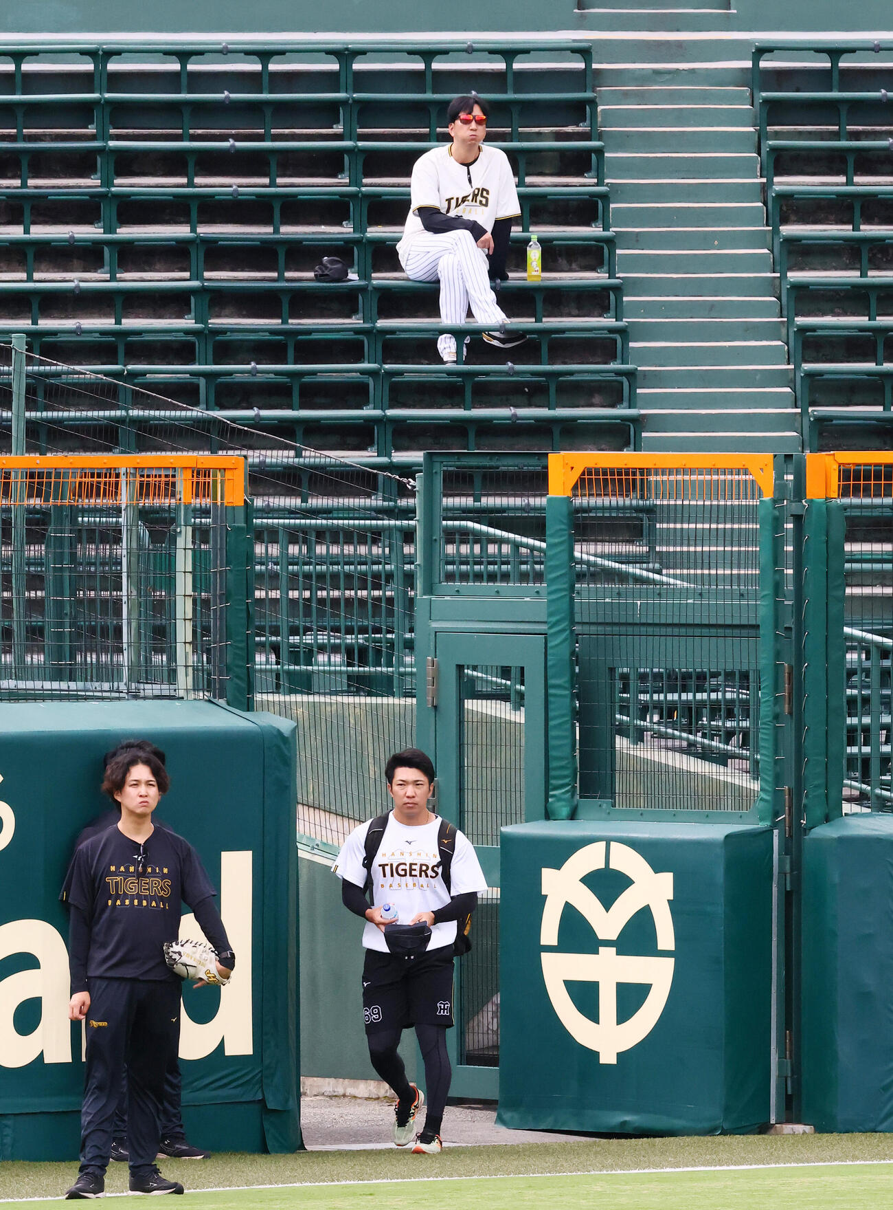 阪神対DeNA　グラウンドへ入る阪神石井大智。上は藤川球児監督（撮影・加藤哉）
