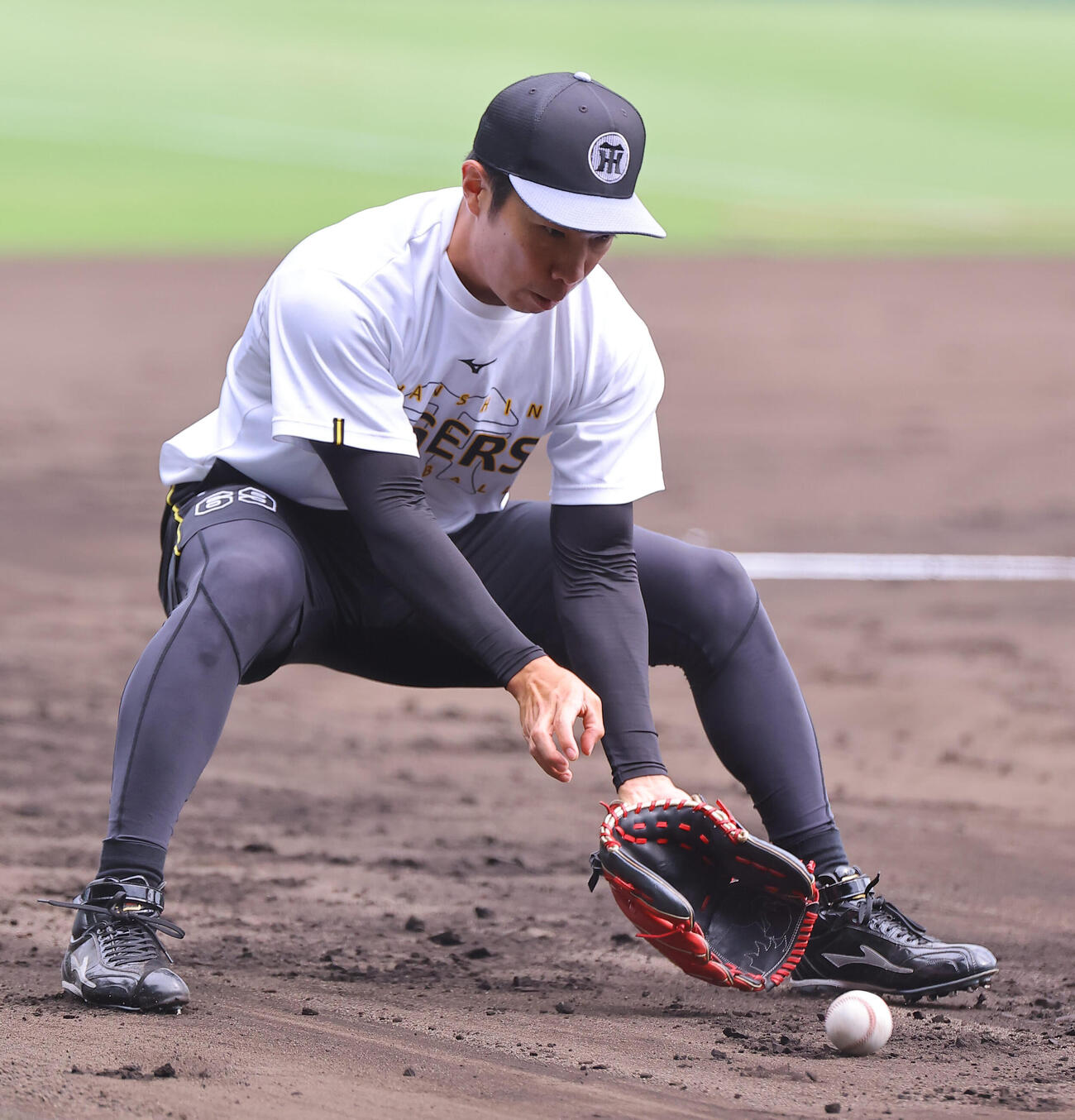 阪神対DeNA　ノックを受ける石井大智（撮影・上田博志）