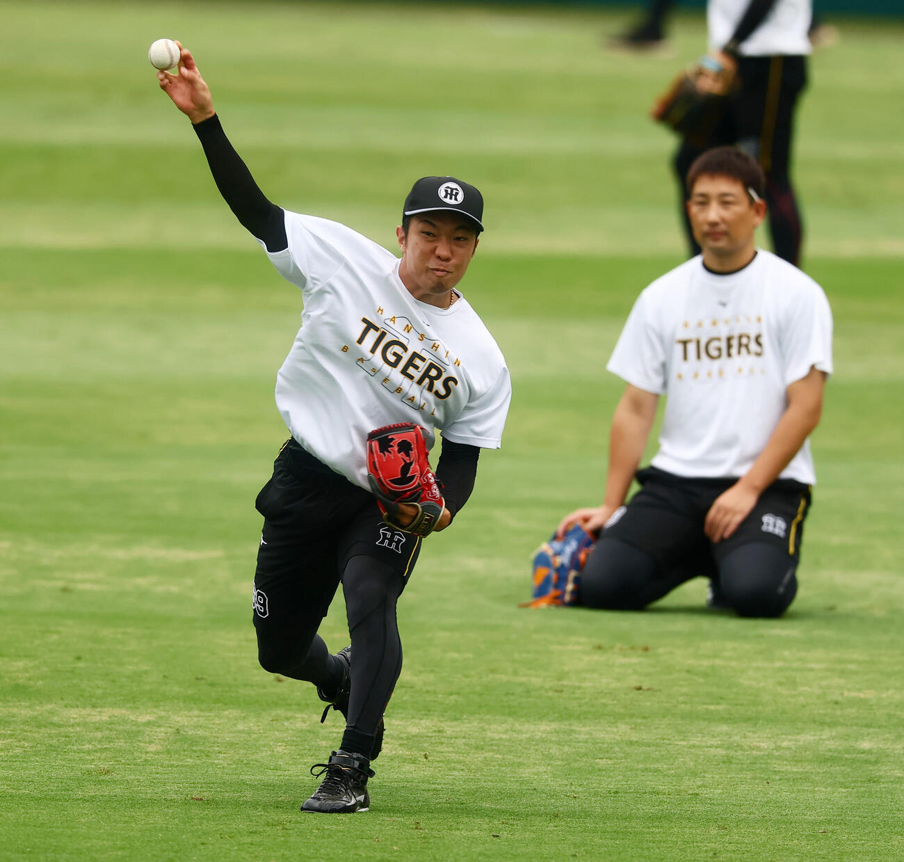 阪神対DeNA　後方から岩崎優が見る前でキャッチボールする阪神石井大智（撮影・加藤哉）