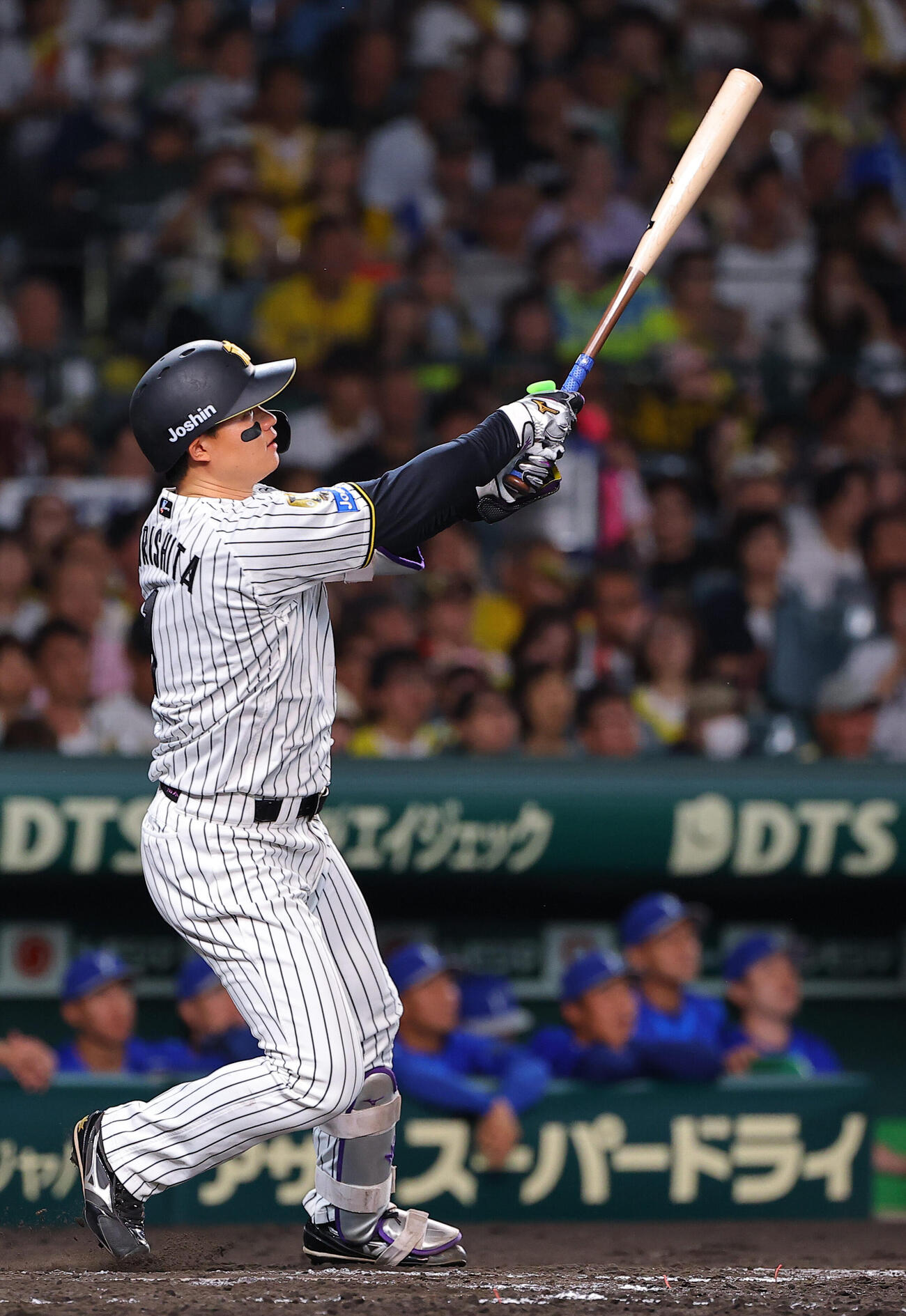 阪神対DeNA 4回裏阪神無死、森下翔太はソロ本塁打を放つ（撮影・上田博志）