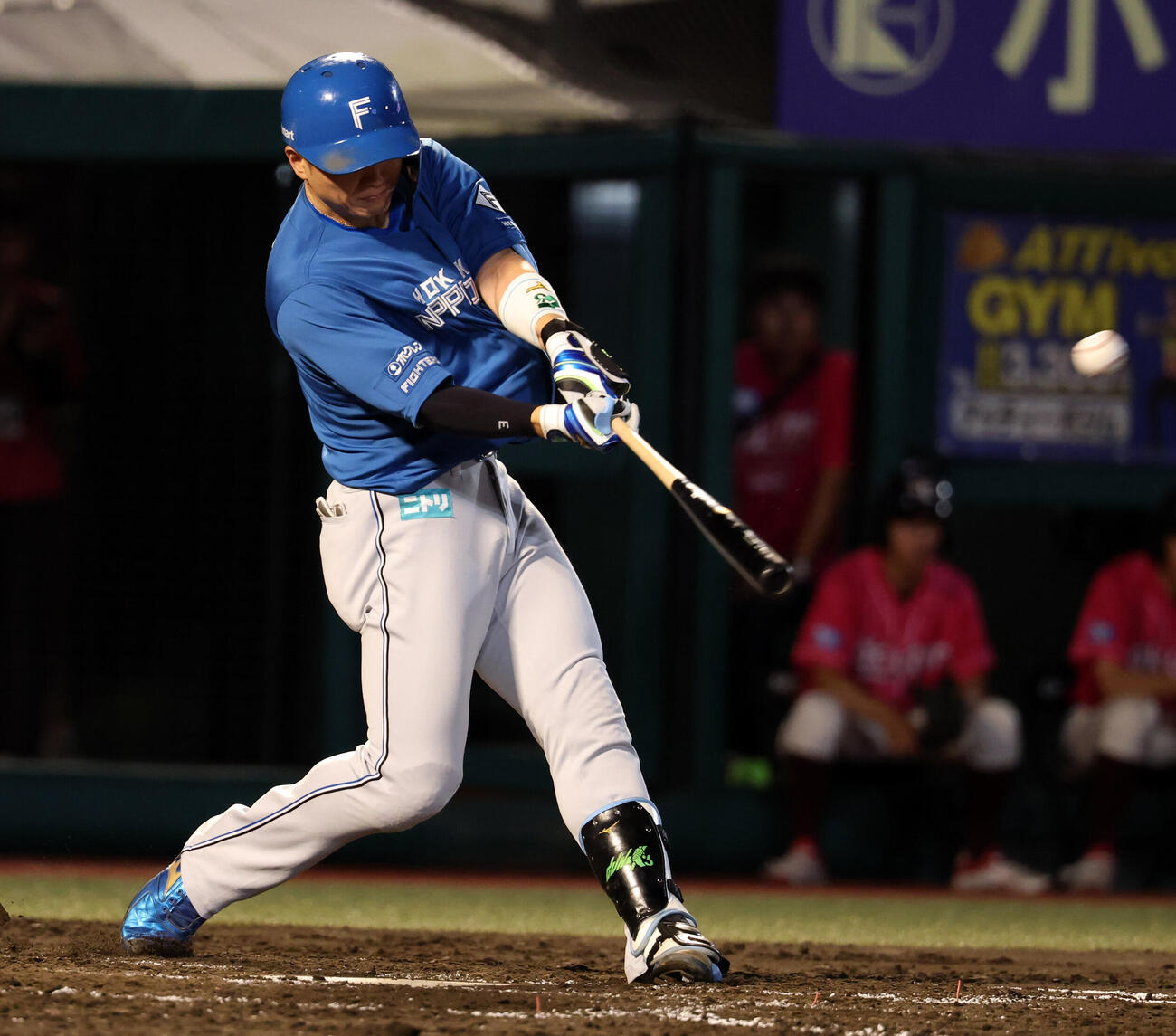 楽天対日本ハム　5回表日本ハム2死、郡司裕也はソロ本塁打を放つ（撮影・浅見桂子）
