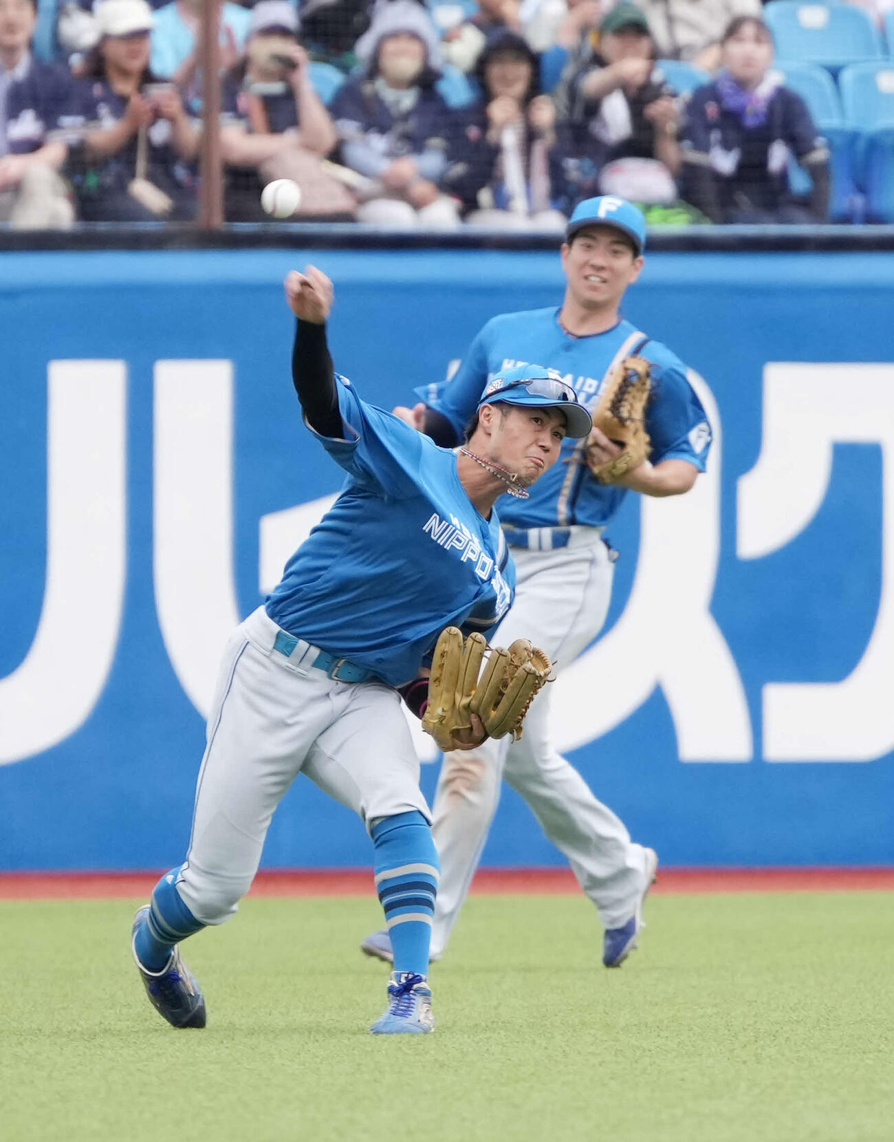 日本ハム細川凌平（24年6月撮影）