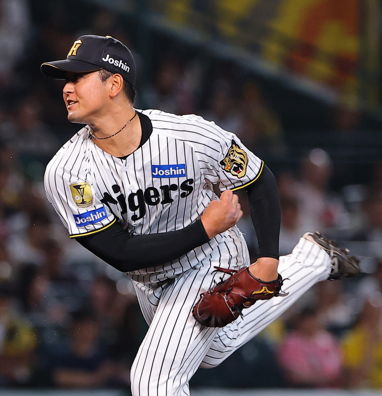 阪神対DeNA　阪神3番手の岡留英貴（撮影・上田博志）