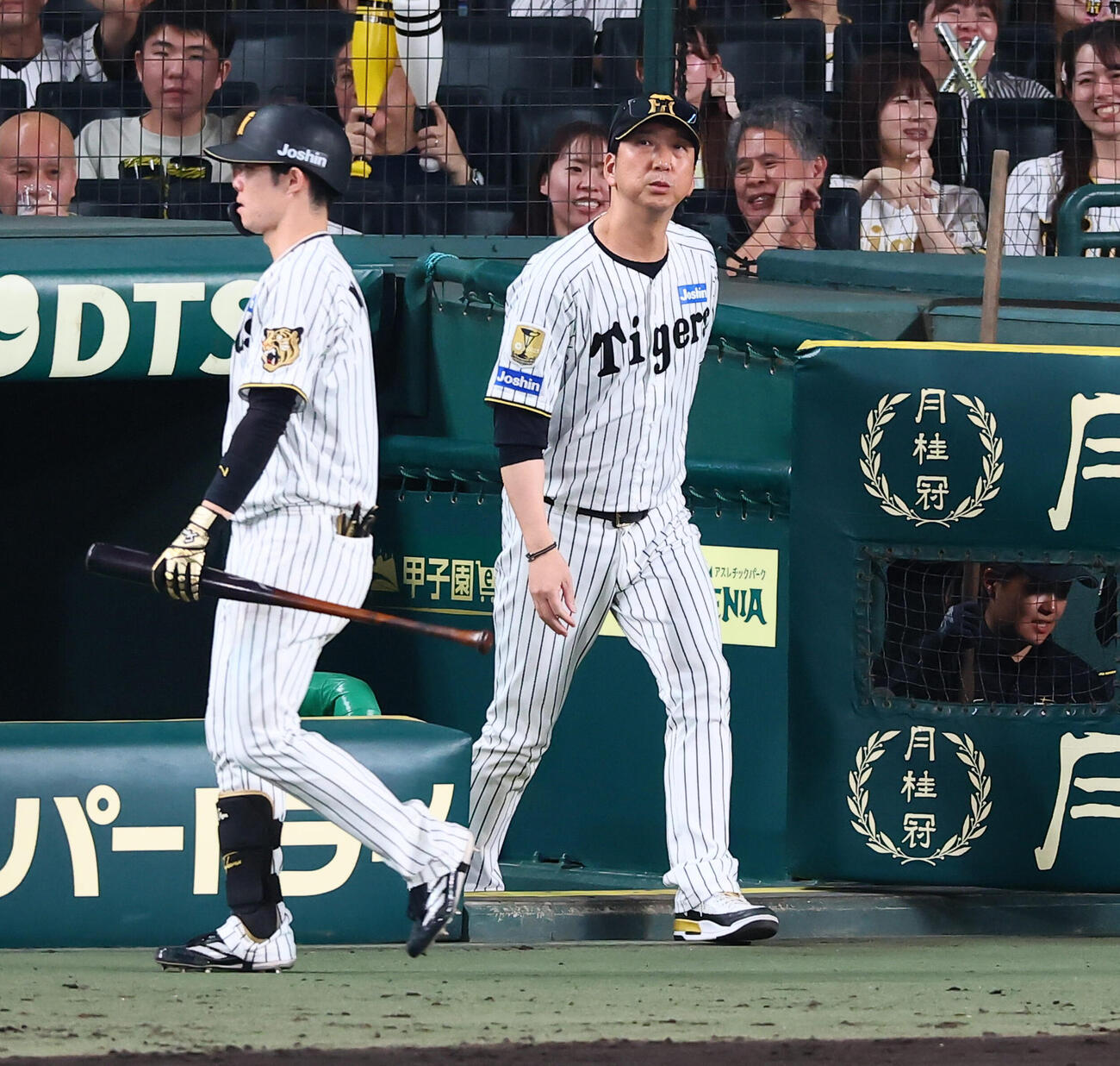 阪神対DeNA 7回裏を終え選手交代を告げる阪神藤川球児監督（撮影・加藤哉）