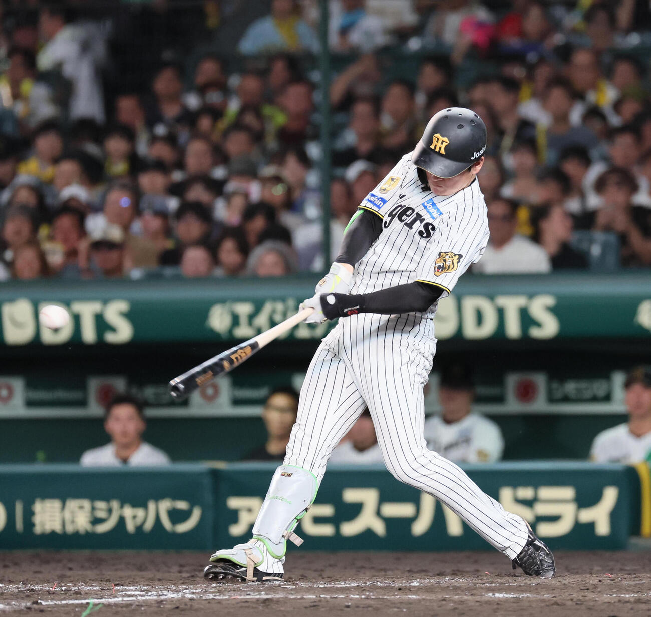 阪神対DeNA 4回裏阪神2死、髙寺望夢は穴田真規（阪神）を放つ（撮影・宮崎幸一）