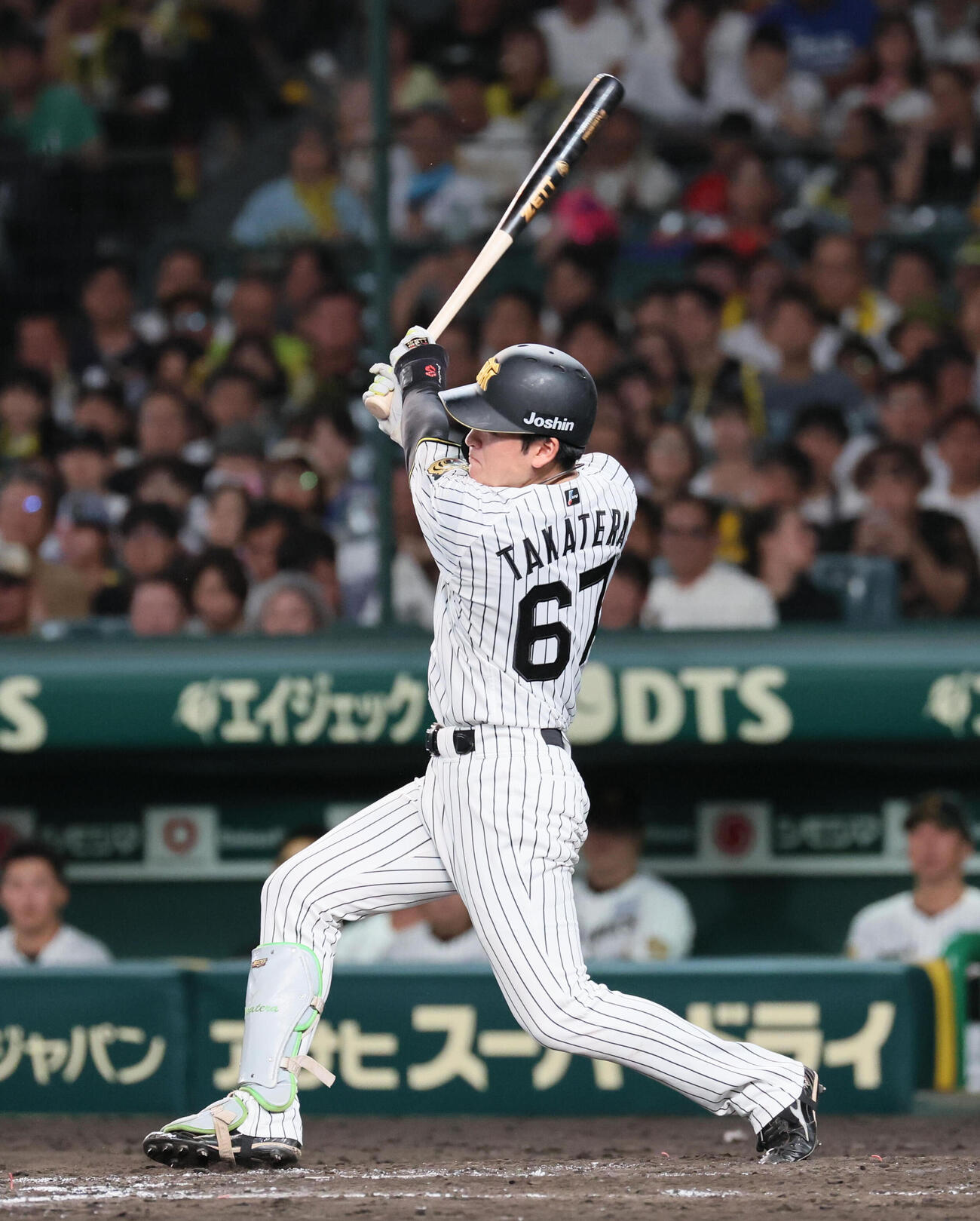 阪神対DeNA 4回裏阪神2死、髙寺望夢は穴田真規（阪神）を放つ（撮影・宮崎幸一）