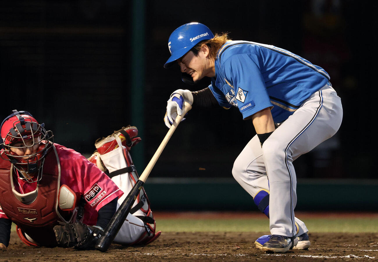 楽天対日本ハム　7回表日本ハム2死二、三塁、水野達稀は死球を受け痛がる（撮影・浅見桂子）