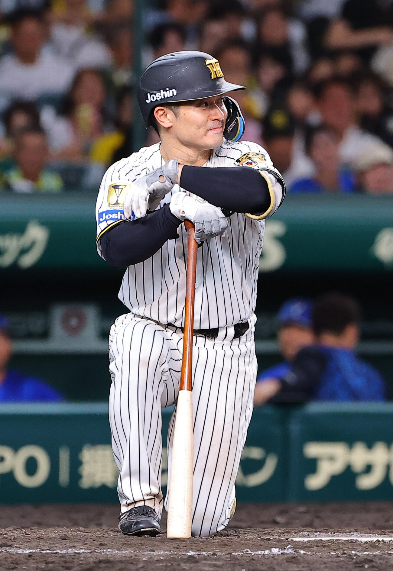 阪神対DeNA 9回裏阪神2死、坂本誠志郎は三振に倒れる（撮影・上田博志）