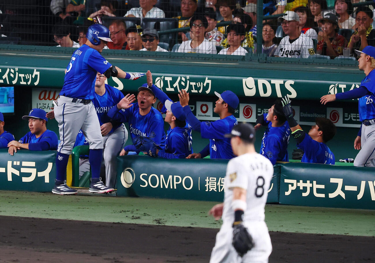 阪神対DeNA 3回表DeNA無死、筒香嘉智は右中間越えソロ本塁打を放ちベンチのナインとタッチする（撮影・加藤哉）