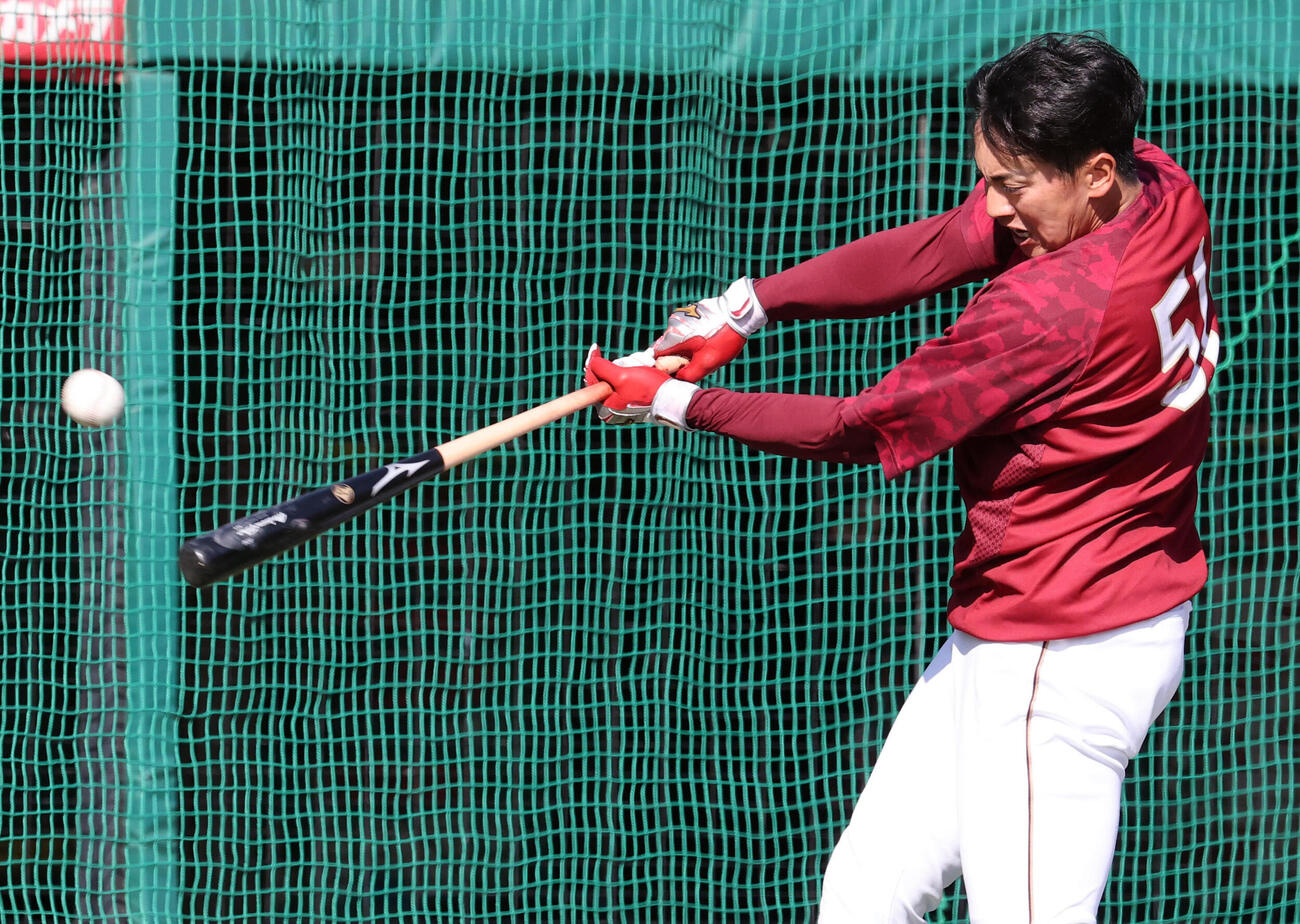 楽天対日本ハム　ティー打撃する楽天小郷裕哉（撮影・浅見桂子）