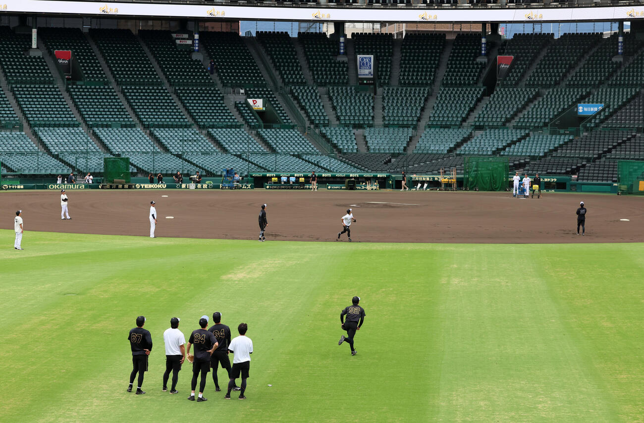 阪神対DeNA　早出特守で内外野の連係などを確認する阪神ナイン（撮影・加藤哉）
