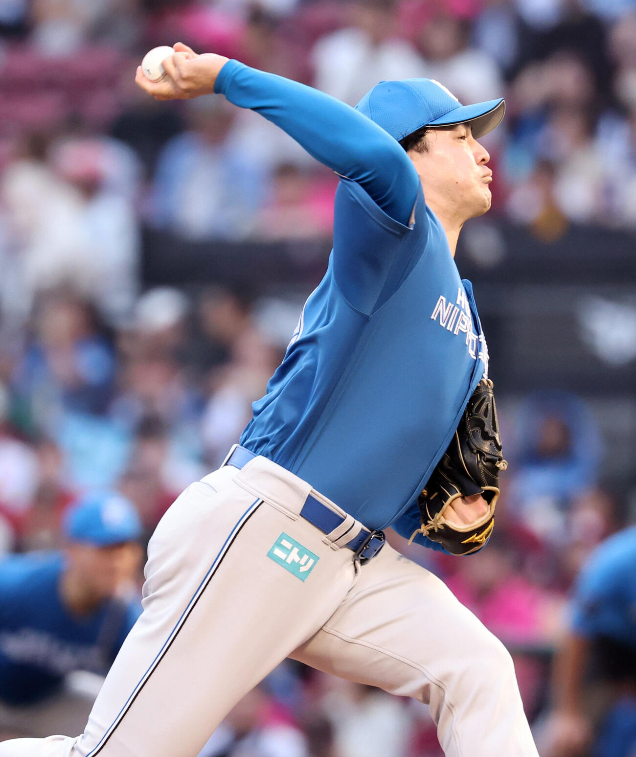 楽天対日本ハム　日本ハム先発の有原航平（撮影・浅見桂子）