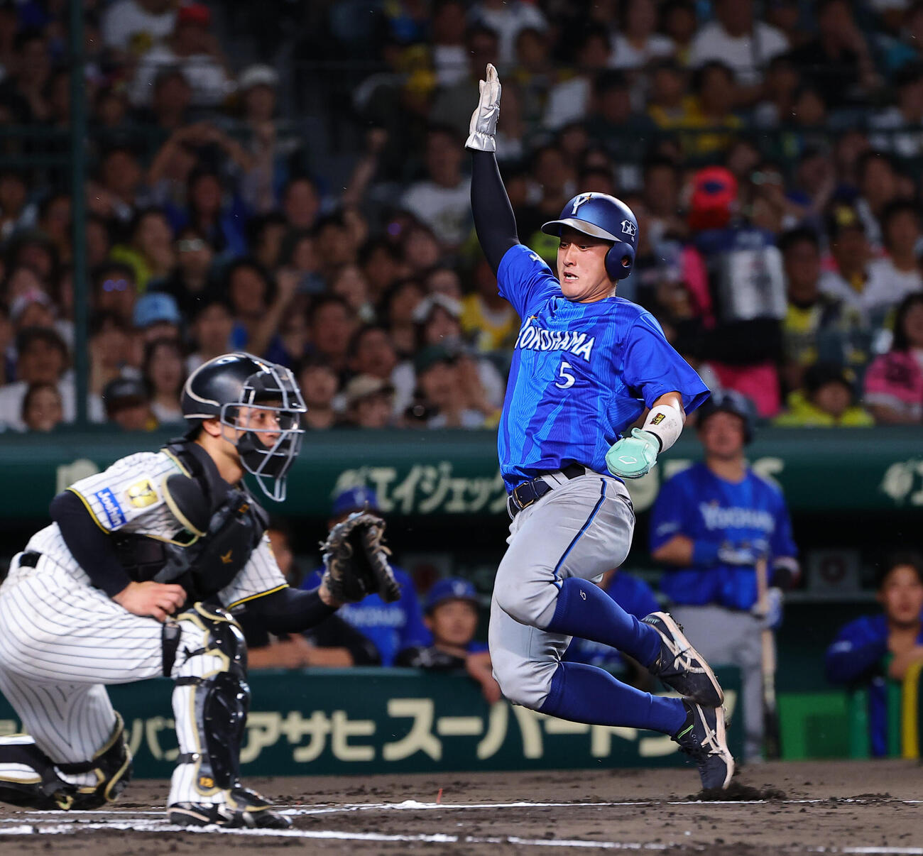 阪神対DeNA 2回表DeNA1死満塁、度会隆輝の適時打で生還する松尾汐恩（撮影・上田博志）