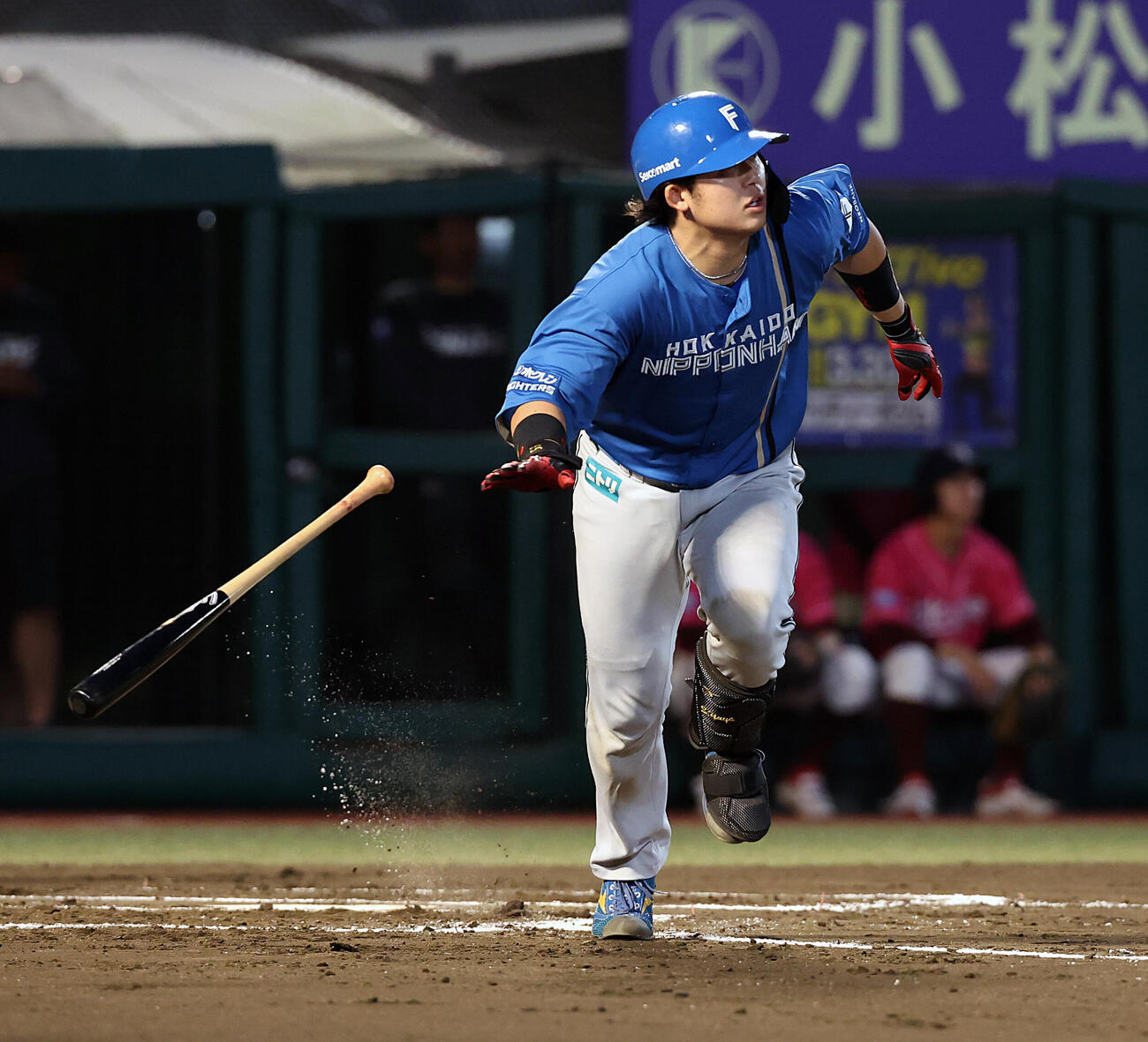 楽天対日本ハム　6回表日本ハム1死、進藤勇也はソロ本塁打を放つ（撮影・浅見桂子）
