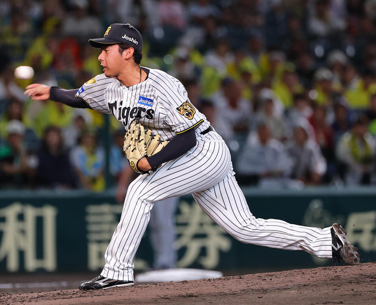 阪神対DeNA　阪神2番手の神宮僚介（撮影・上田博志）