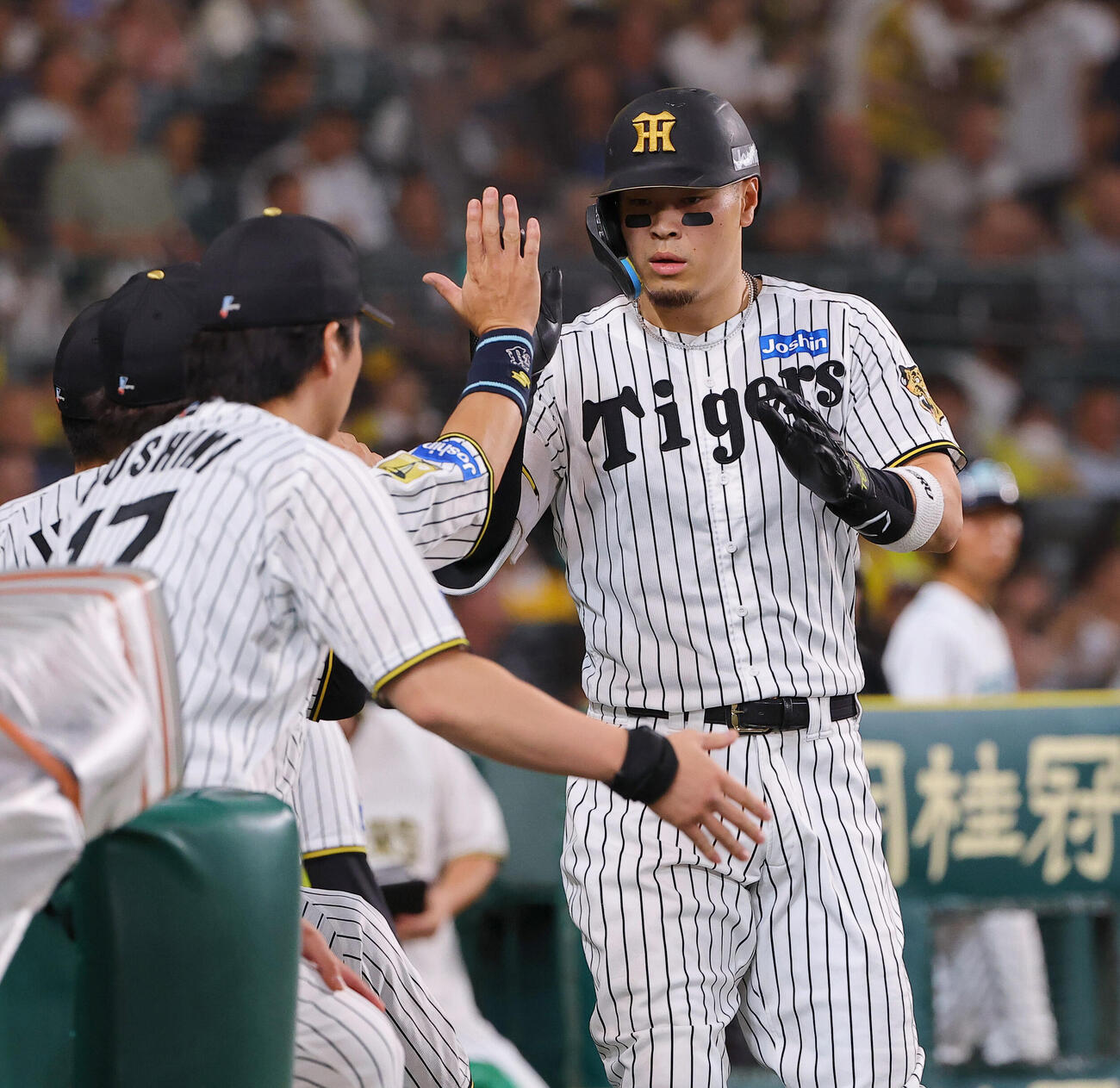 阪神対DeNA 4回裏阪神2死、本塁打を放った佐藤輝明はナインとハイタッチをする（撮影・上田博志）
