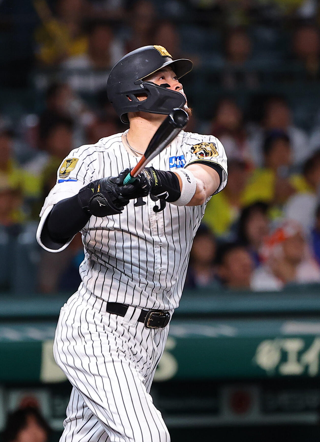 阪神対DeNA 4回裏阪神2死、佐藤輝明は本塁打を放つ（撮影・上田博志）