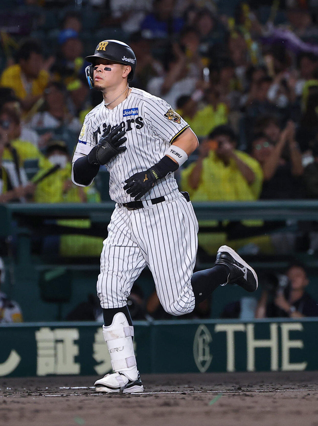 阪神対DeNA 4回裏阪神2死、佐藤輝明は本塁打を放つ（撮影・上田博志）