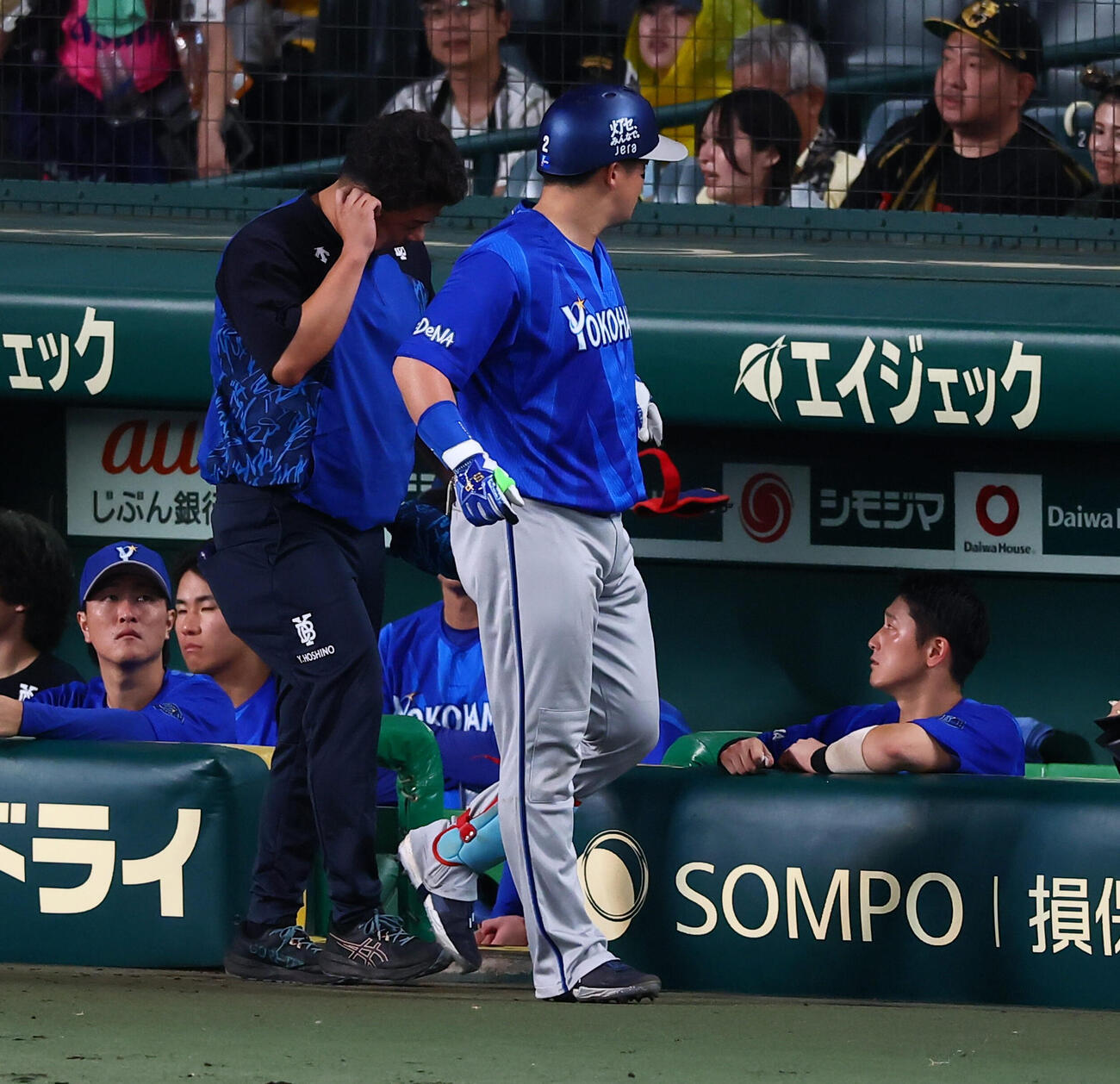 阪神対DeNA 5回表DeNA1死、牧秀悟は死球を受け治療のためベンチへ戻る際、巻いていたリストバンドを投げ捨てる（撮影・加藤哉）