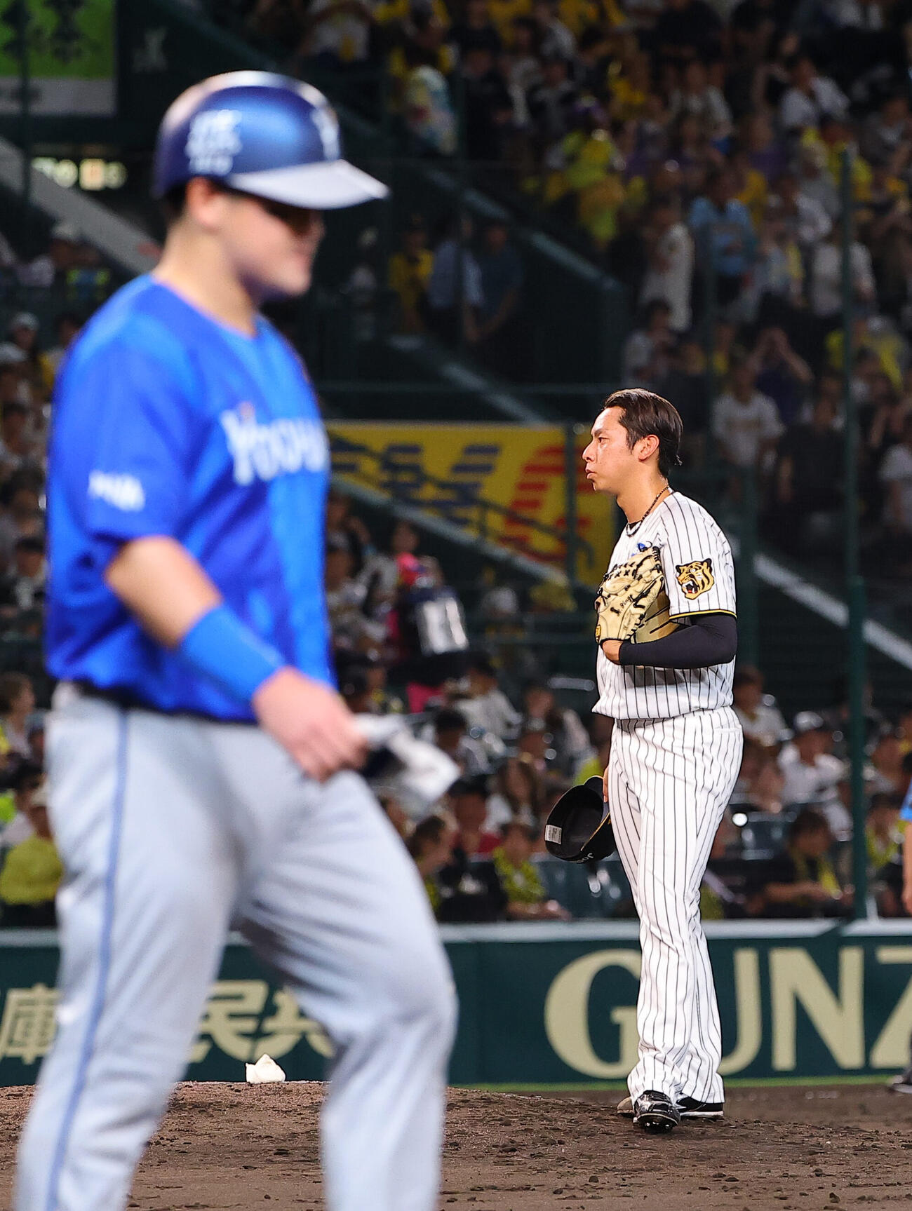 阪神対DeNA 5回表1死、牧秀悟（左）に死球を与えた神宮僚介は帽子を取って謝る（撮影・上田博志）