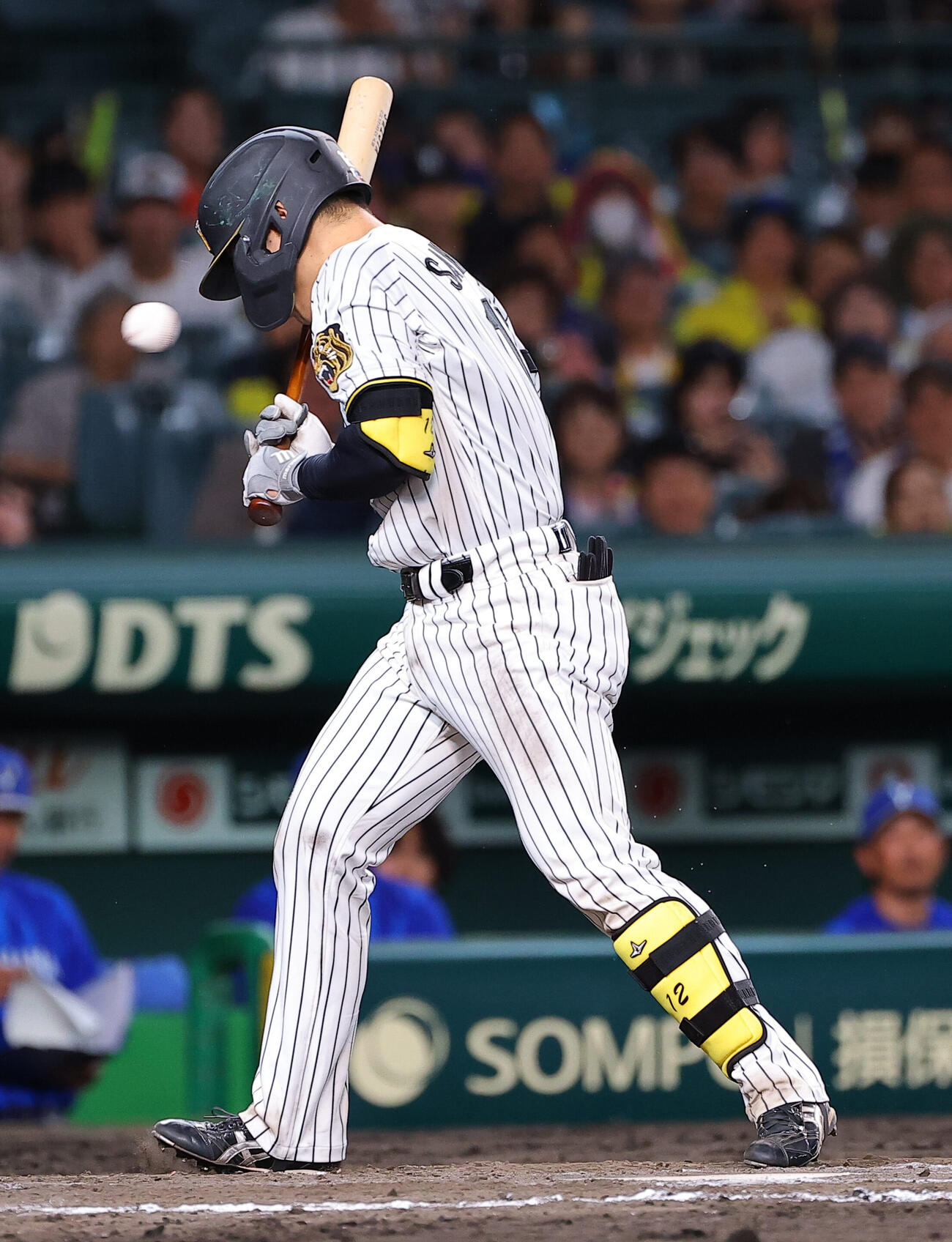 阪神対DeNA 5回裏阪神1死、坂本誠志郎は死球を受ける（撮影・上田博志）