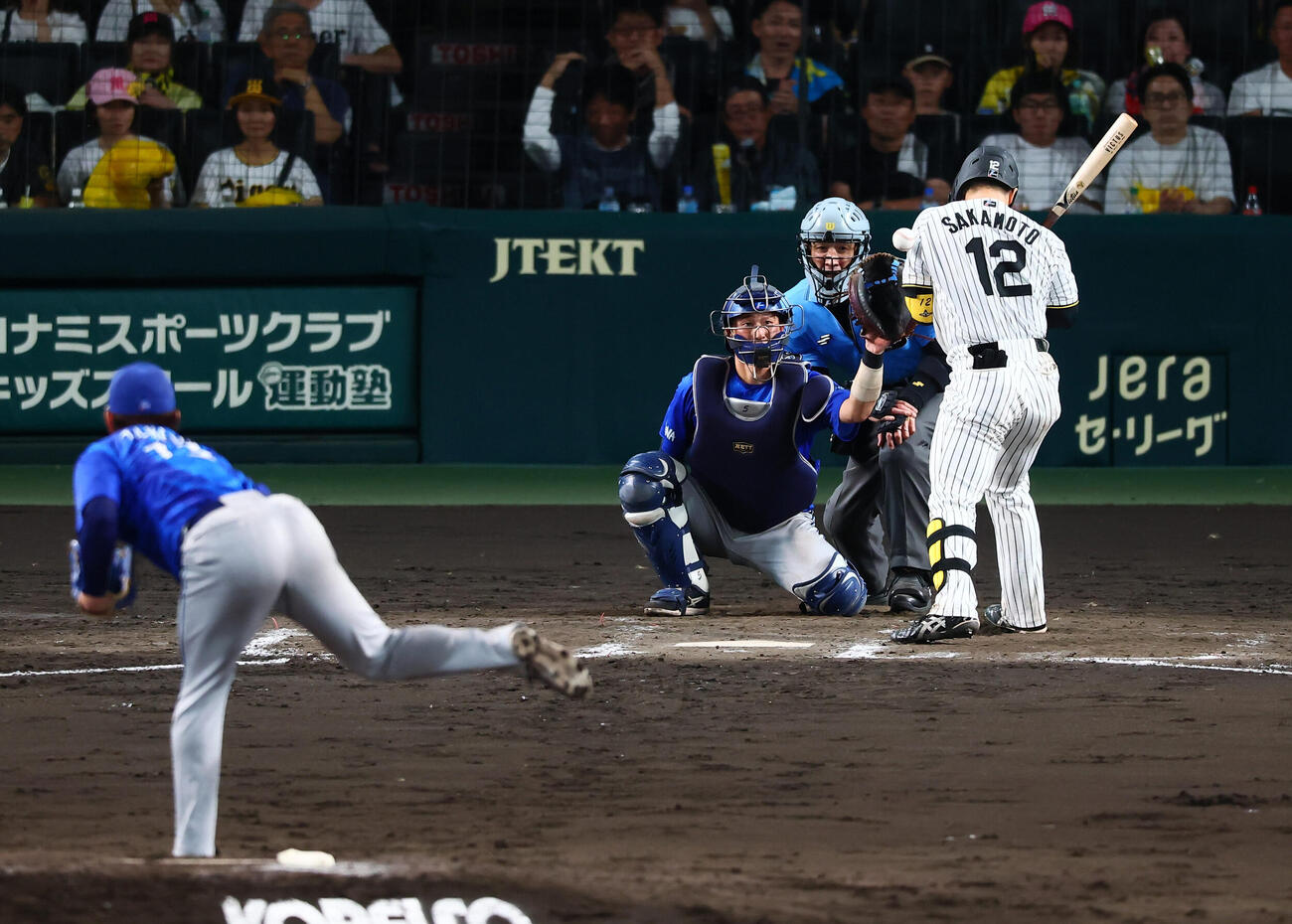 阪神対DeNA 5回裏阪神1死、坂本誠志郎は死球を受ける。投手竹田祐（撮影・加藤哉）