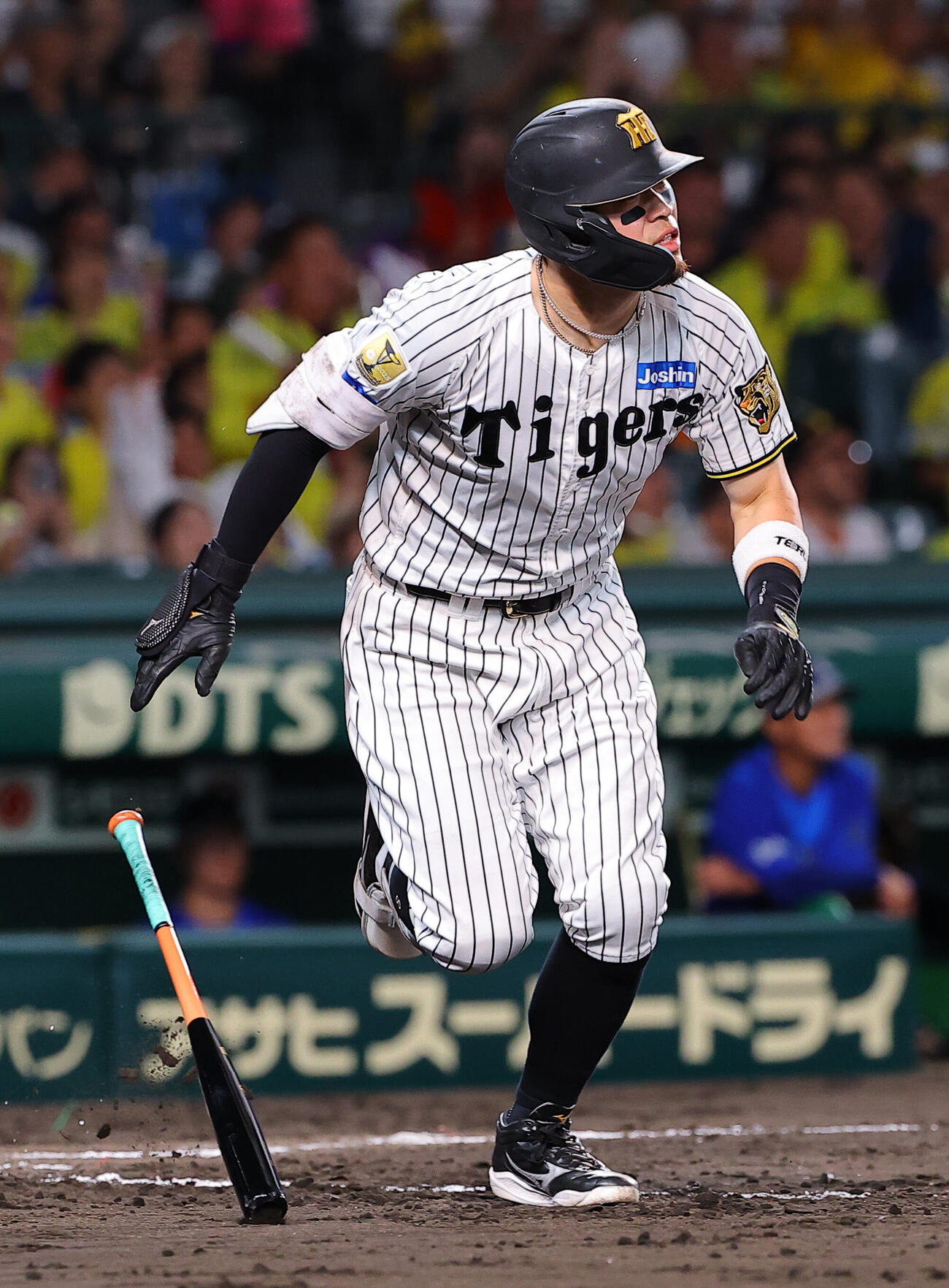 阪神対DeNA 4回裏阪神2死、佐藤輝明は本塁打を放つ（撮影・上田博志）