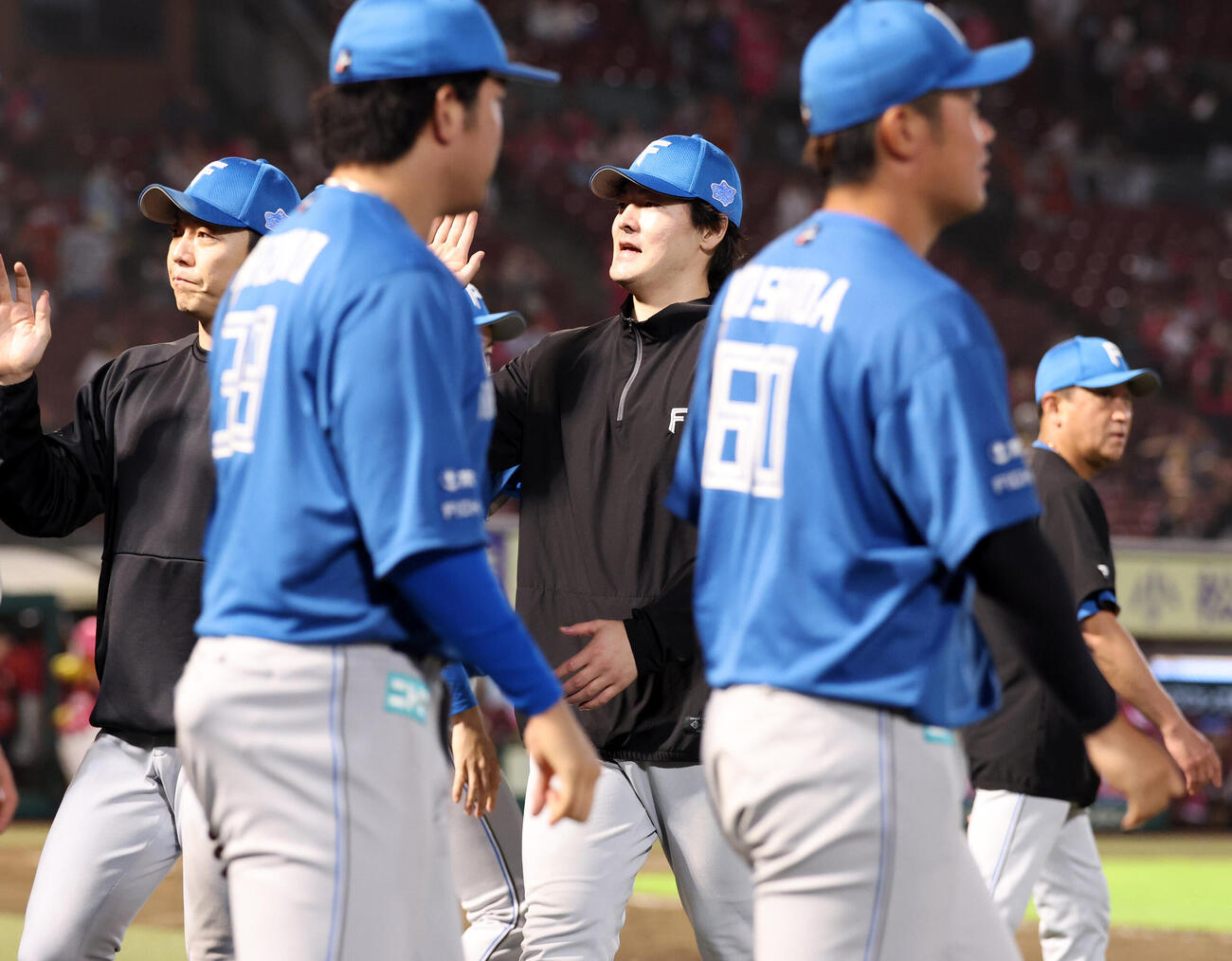 楽天対日本ハム　8連勝し、日本ハム有原航平（中央）はナインとハイタッチ（撮影・浅見桂子）