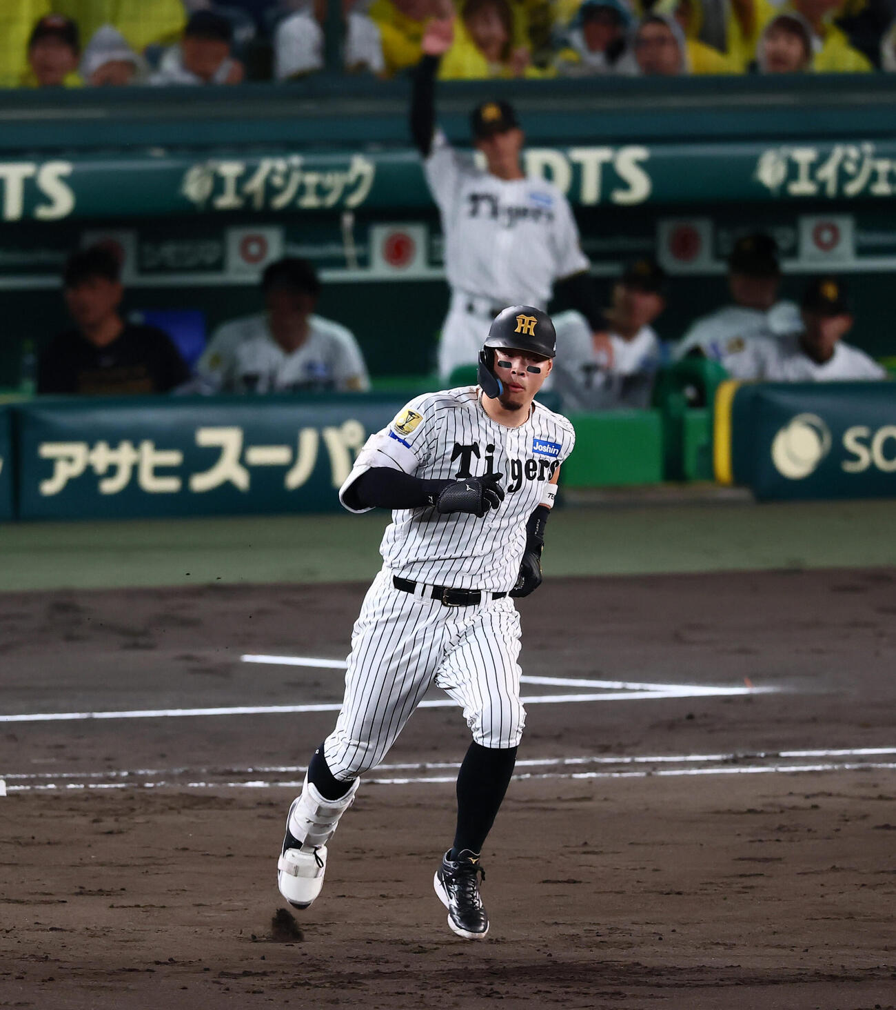 阪神対DeNA 4回裏阪神2死、佐藤輝明は右中間に本塁打を放ちダイヤモンドを駆ける（撮影・加藤哉）