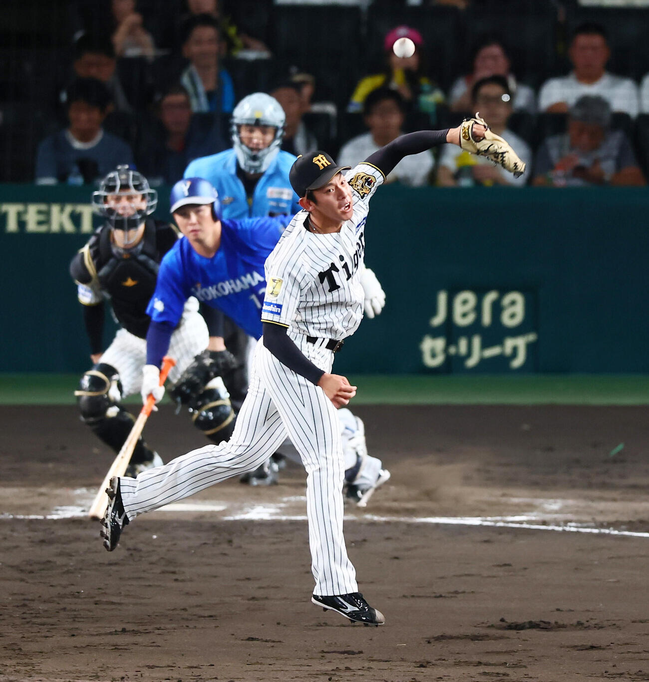 阪神対DeNA 4回表DeNA1死、神宮僚介は竹田祐の打球にジャンプするが捕球出来ず遊ゴロとなる（撮影・加藤哉）