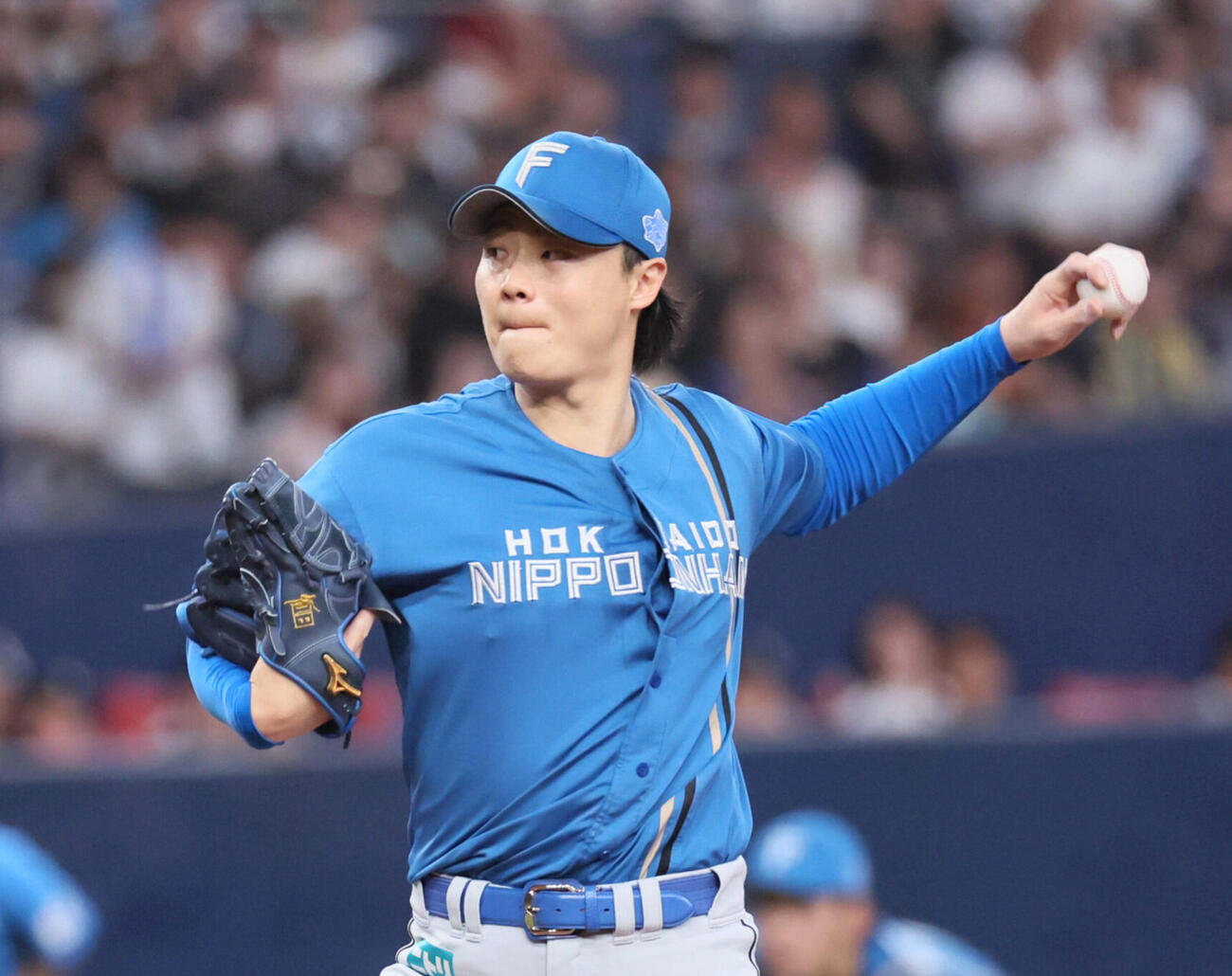 日本ハム山崎福也（2026年撮影）