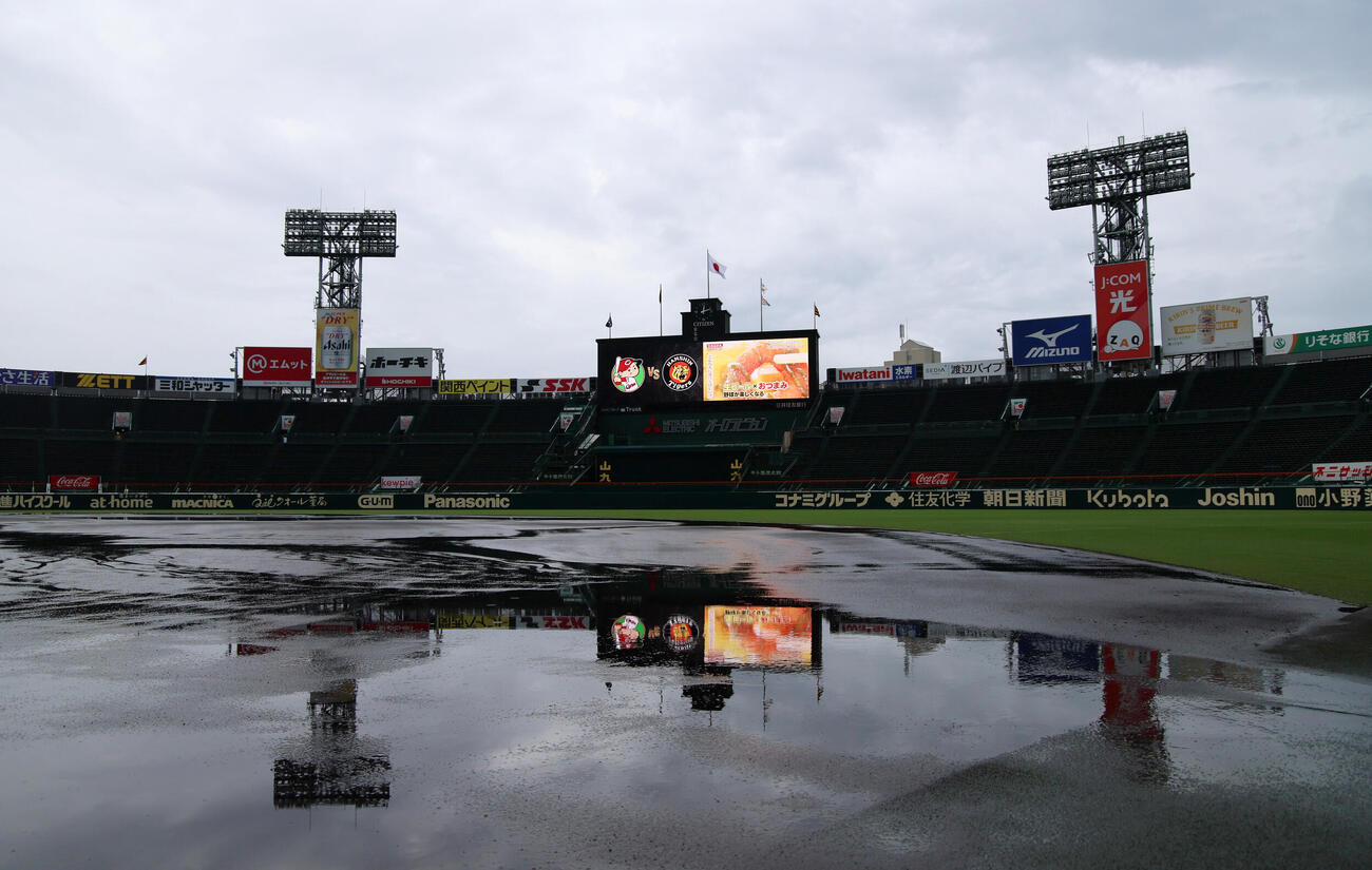 阪神対広島　雨の影響で甲子園球場のグラウンドには水たまりが出来ている（撮影・加藤哉）
