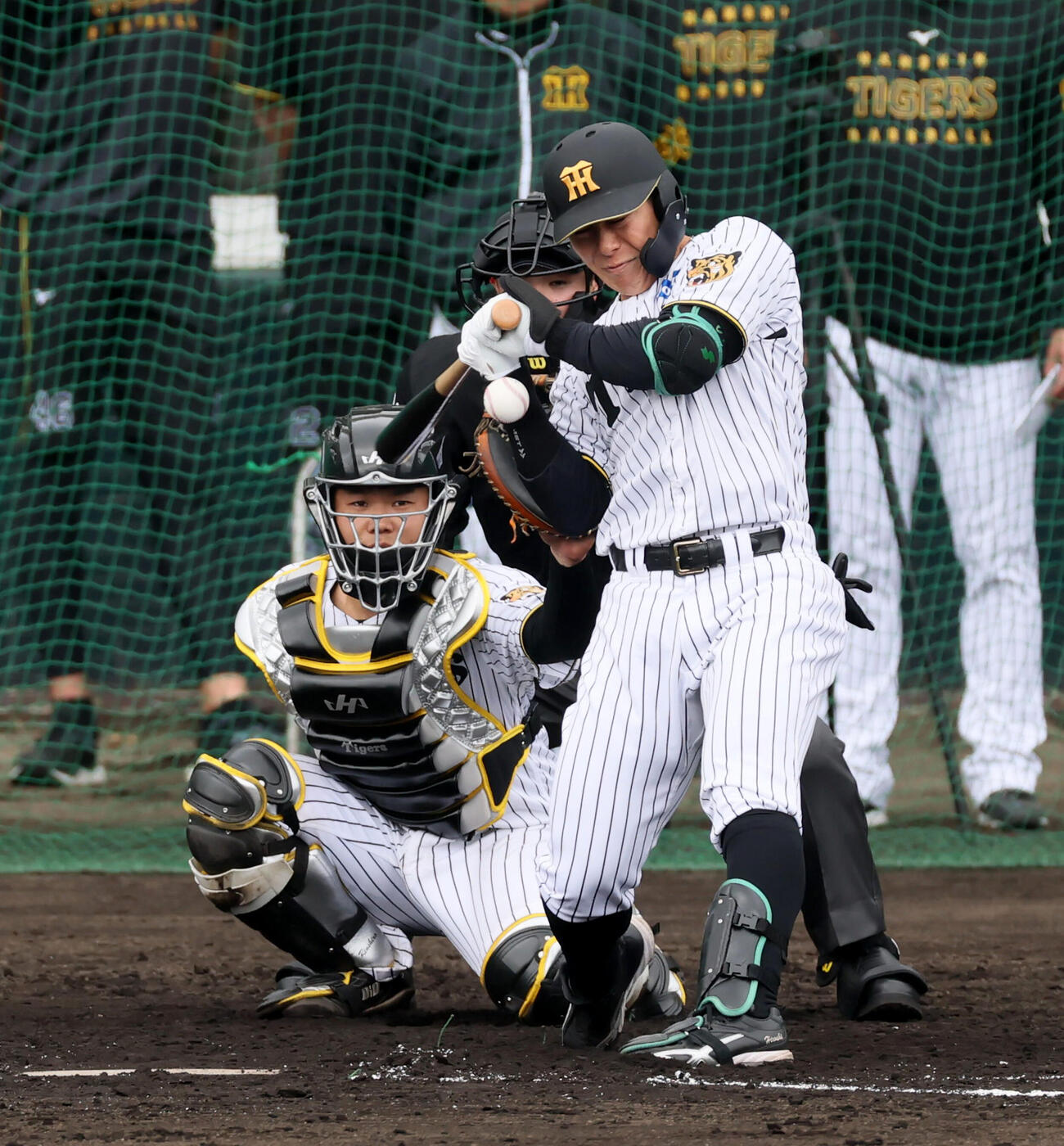 阪神豊田寛（2026年2月撮影）