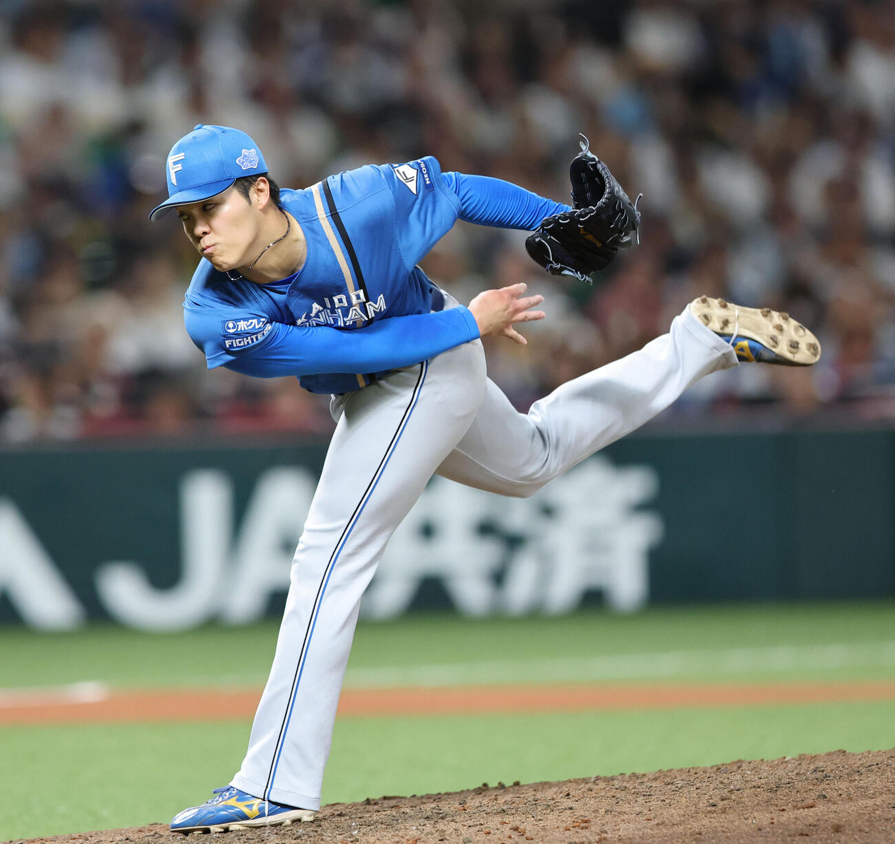 ソフトバンク日本ハム　6回に登板した日本ハム柴田獅子（撮影・梅根麻紀）