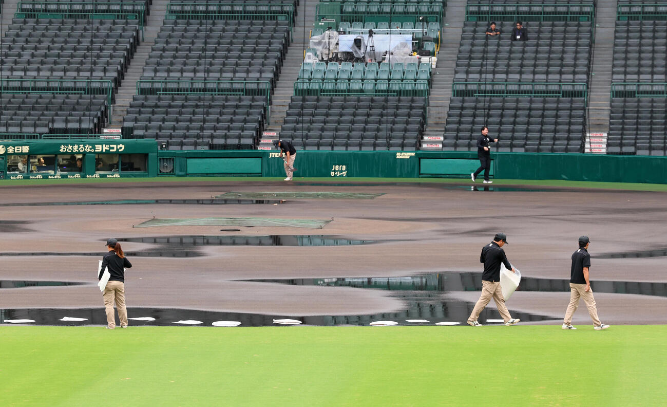 阪神対広島　雨で濡れた甲子園球場内野グラウンドの整備を始める阪神園芸職員（撮影・加藤哉）