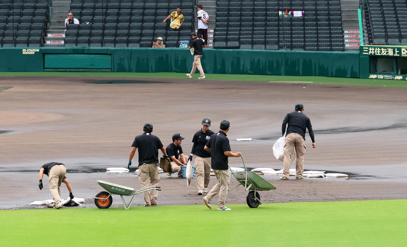 阪神対広島　水たまりの雨水を給水マットに吸い取って回収する阪神園芸のグラウンドキーパー（撮影・加藤哉）