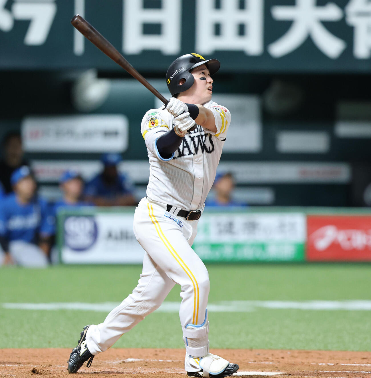 ソフトバンク日本ハム　3回裏ソフトバンク2死二塁、栗原陵矢は逆転となる右越え2点本塁打を放つ（撮影・梅根麻紀）