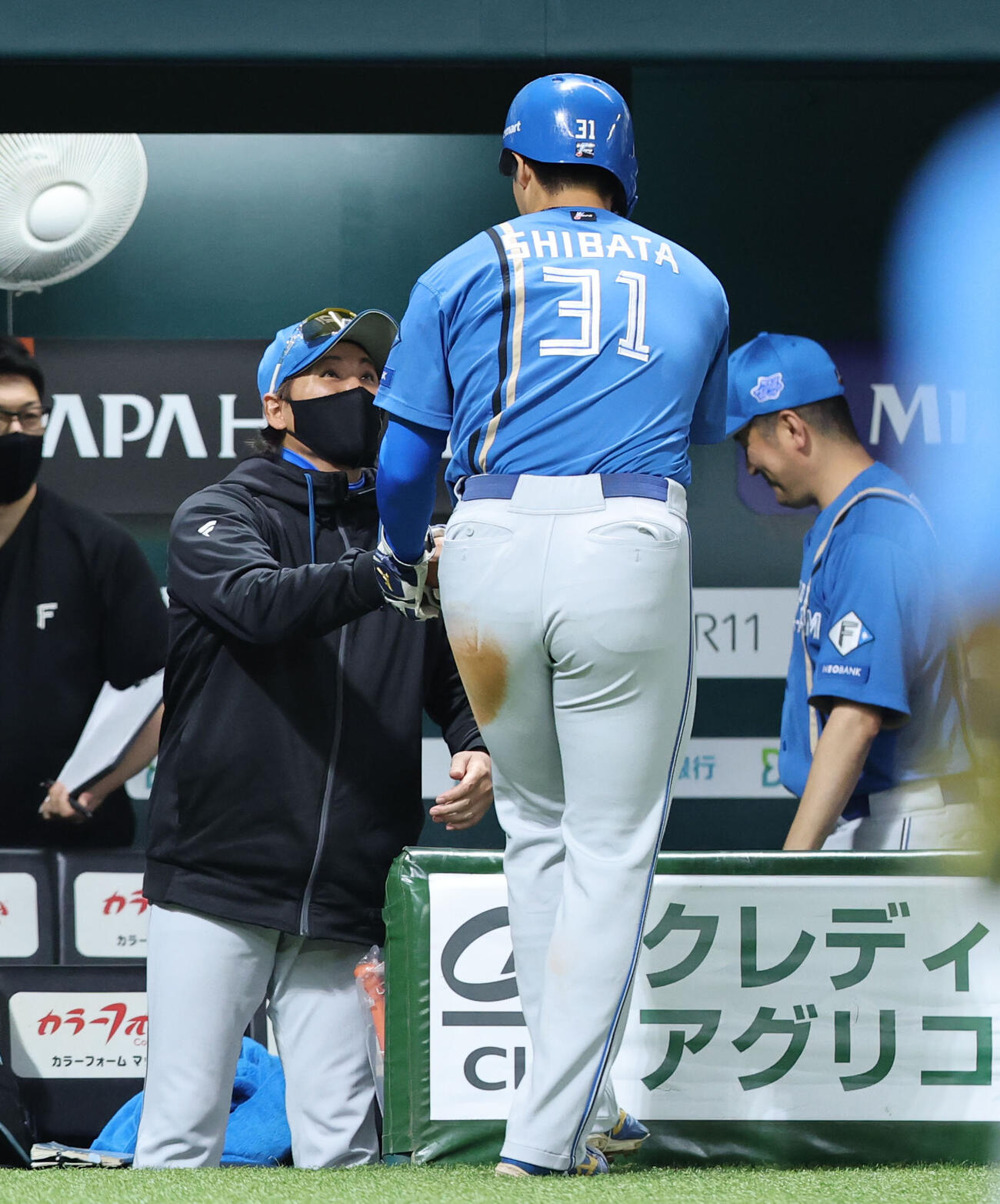 ソフトバンク日本ハム　2回表日本ハム1死二、三塁、田宮裕涼の二ゴロの間に同点のホームを踏んだ柴田獅子を迎える新庄剛志監督（撮影・梅根麻紀）