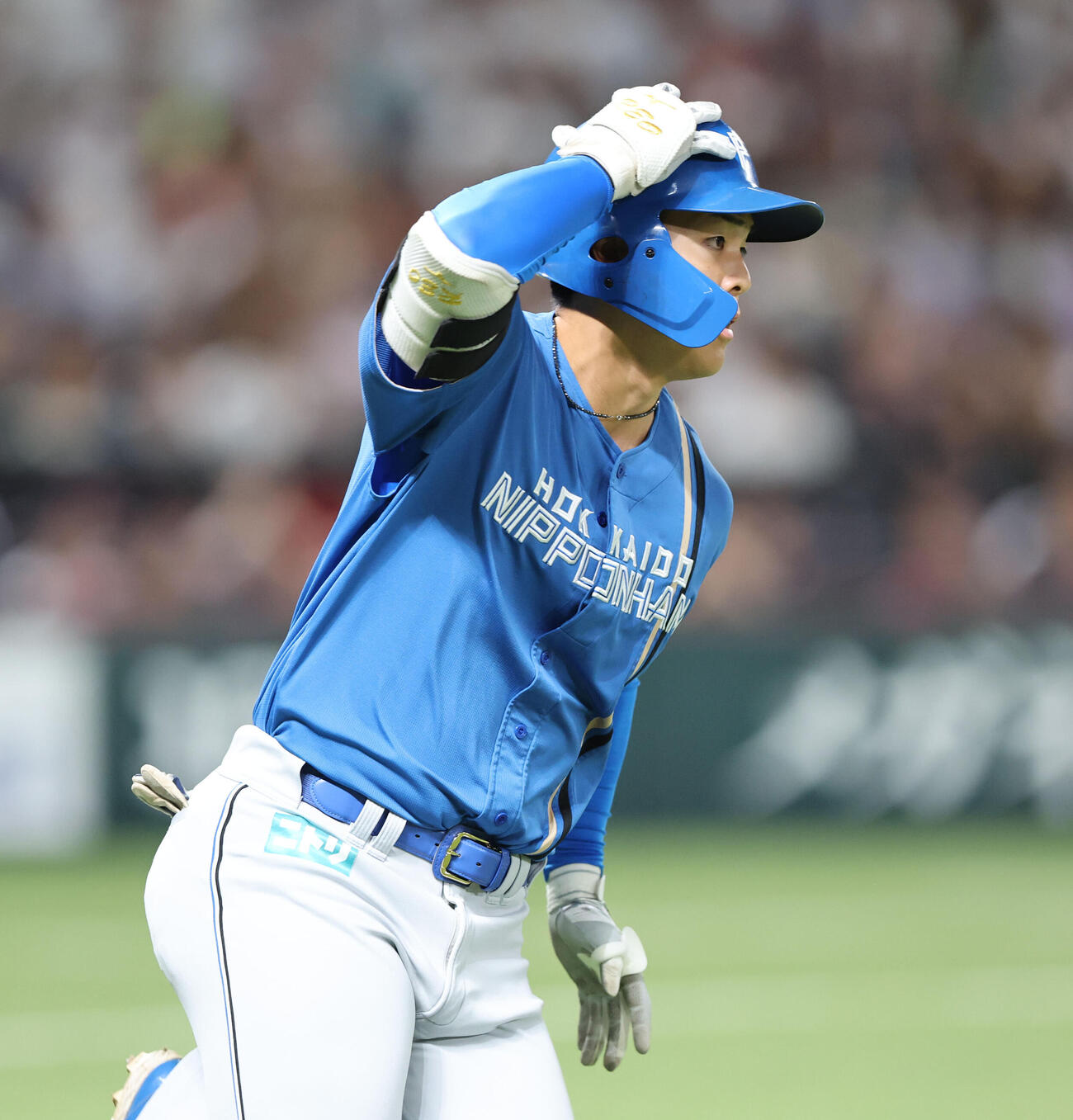 ソフトバンク日本ハム　2回表日本ハム1死一塁、柴田獅子は右前打を放つ（撮影・梅根麻紀）