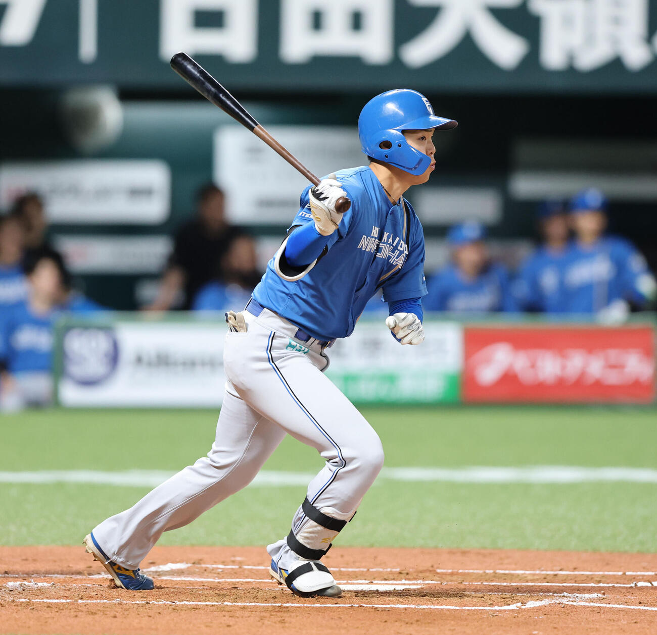 ソフトバンク日本ハム　2回表日本ハム1死一塁、柴田獅子はプロ初安打となる右前打を放つ（撮影・梅根麻紀）