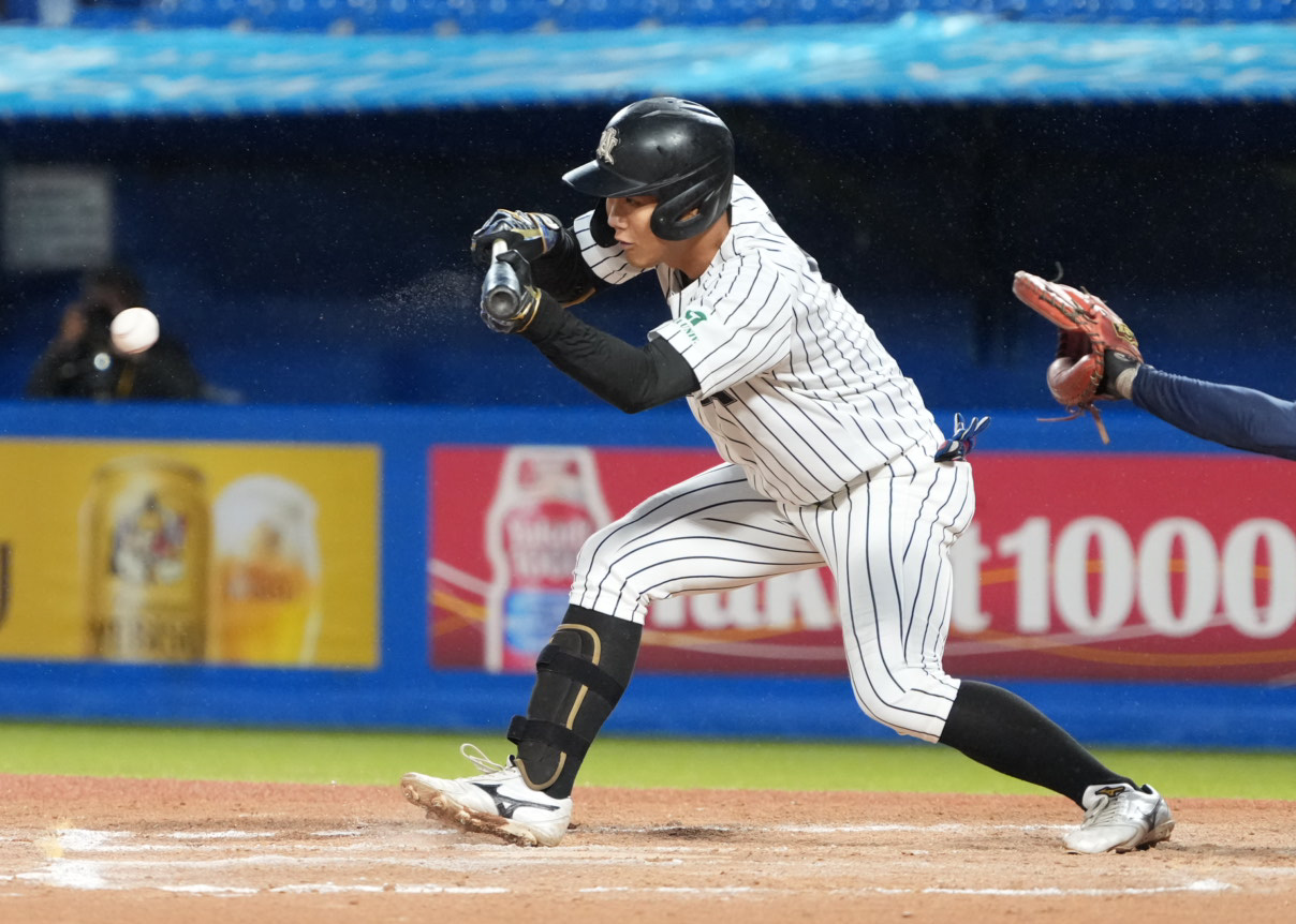 亜大対東洋大　7回表亜大1死一、三塁、伊藤健は勝ち越しのスクイズを決める（撮影・小沢裕）　♯東京・神宮球場　東都大学野球秋季リーグ戦、一部　