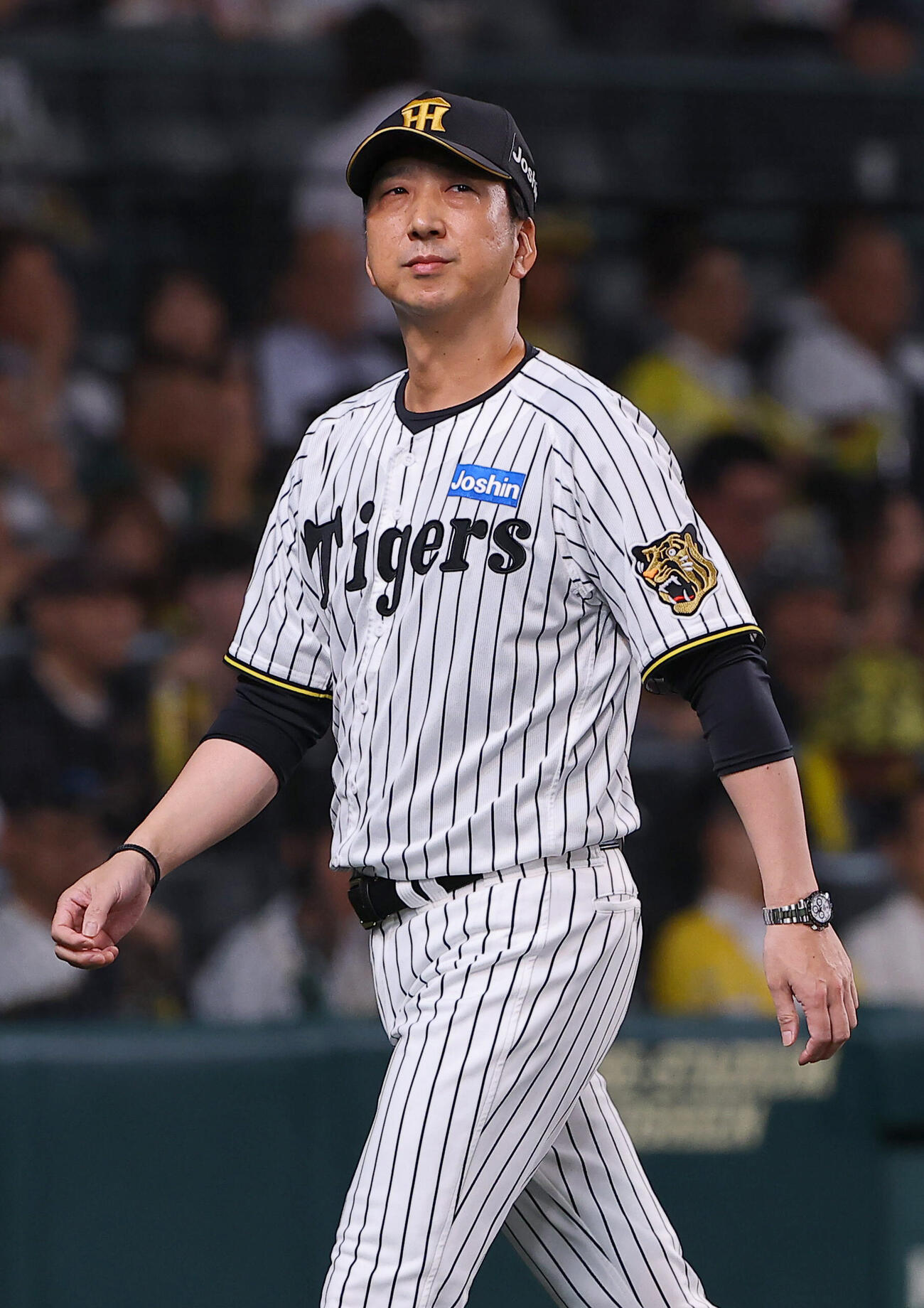 阪神対広島　選手交代を告げベンチに引き揚げる藤川球児監督（撮影・上田博志）
