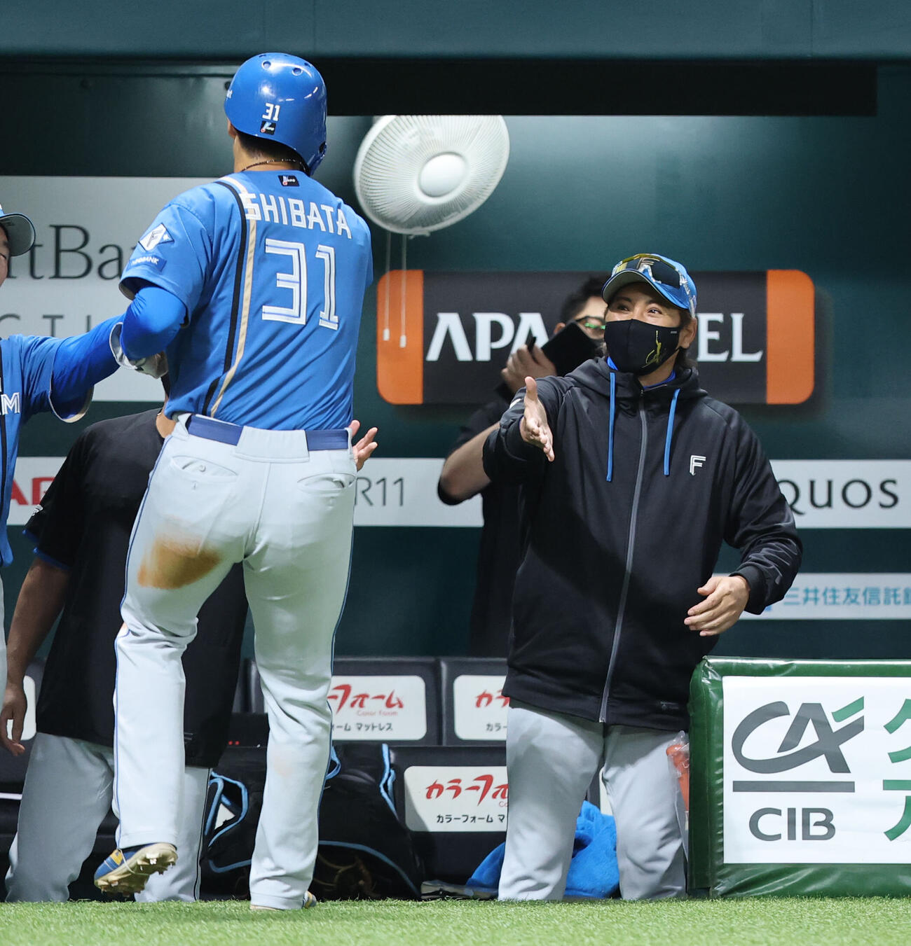 ソフトバンク日本ハム　2回表日本ハム1死二、三塁、田宮裕涼の二ゴロの間に同点のホームを踏んだ柴田獅子を迎える新庄剛志監督（撮影・梅根麻紀）