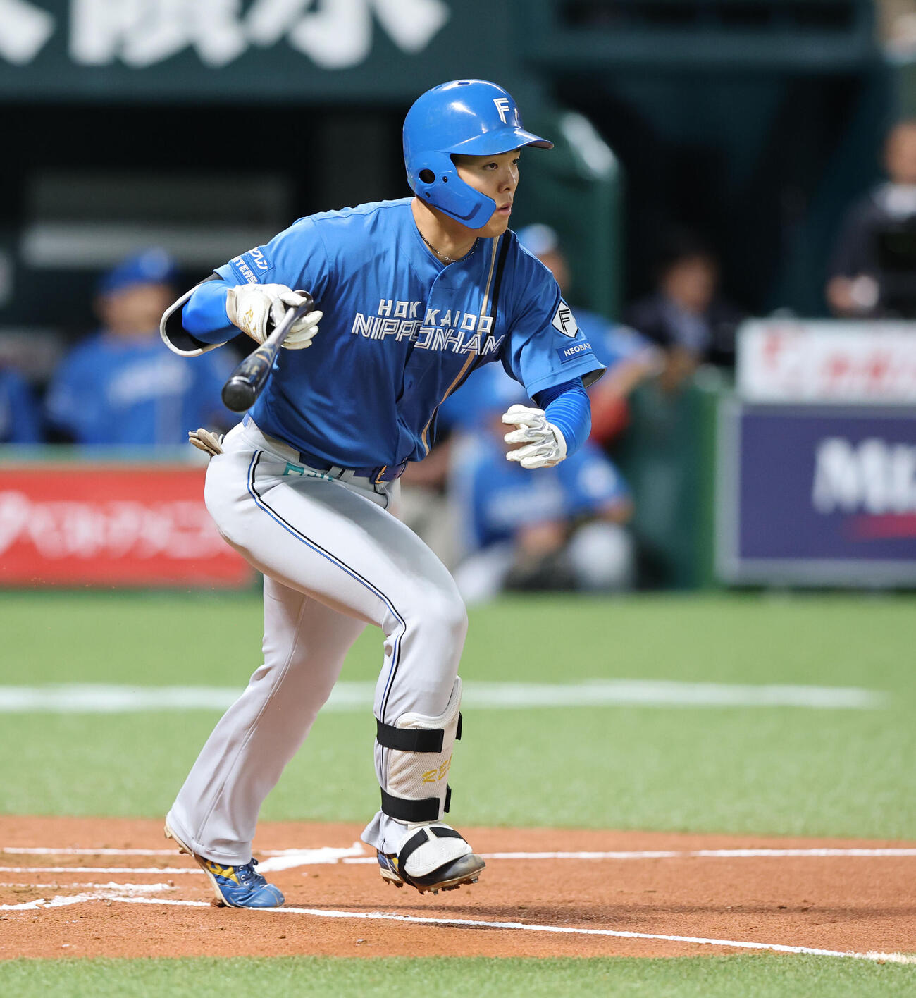 ソフトバンク日本ハム　2回表日本ハム1死一塁、柴田獅子は右前打を放つ（撮影・梅根麻紀）