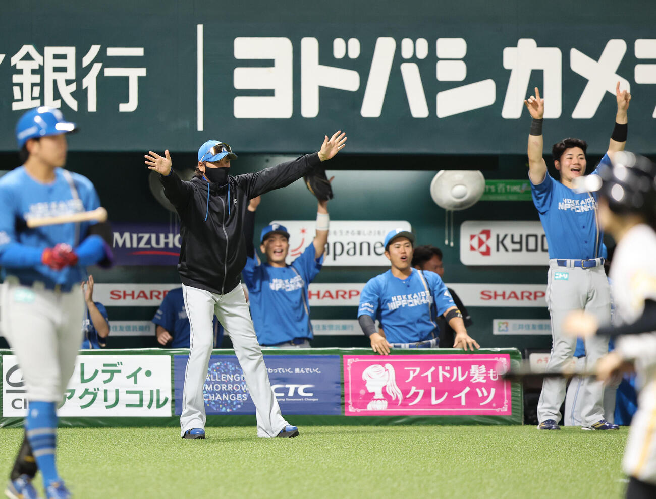 ソフトバンク日本ハム　2回表日本ハム1死一塁、柴田獅子のプロ初安打の記念球がベンチに返ってくるのを待つ新庄剛志監督（撮影・梅根麻紀）