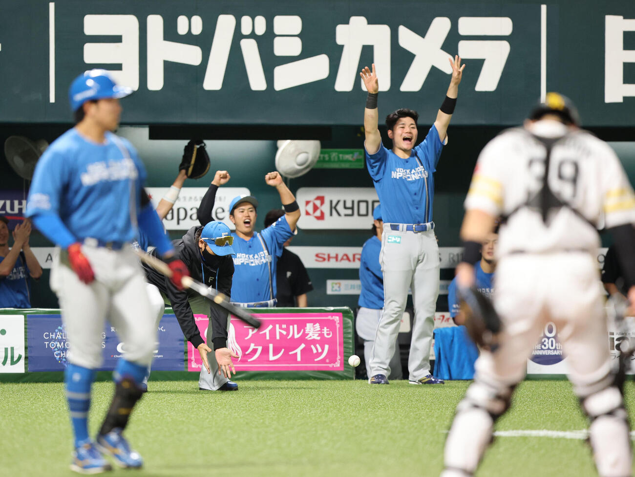 ソフトバンク日本ハム　2回表日本ハム1死一塁、柴田獅子はプロ初安打となる右前打を放つ、記念球がベンチに返ってくるのを待つ新庄剛志監督（撮影・梅根麻紀）