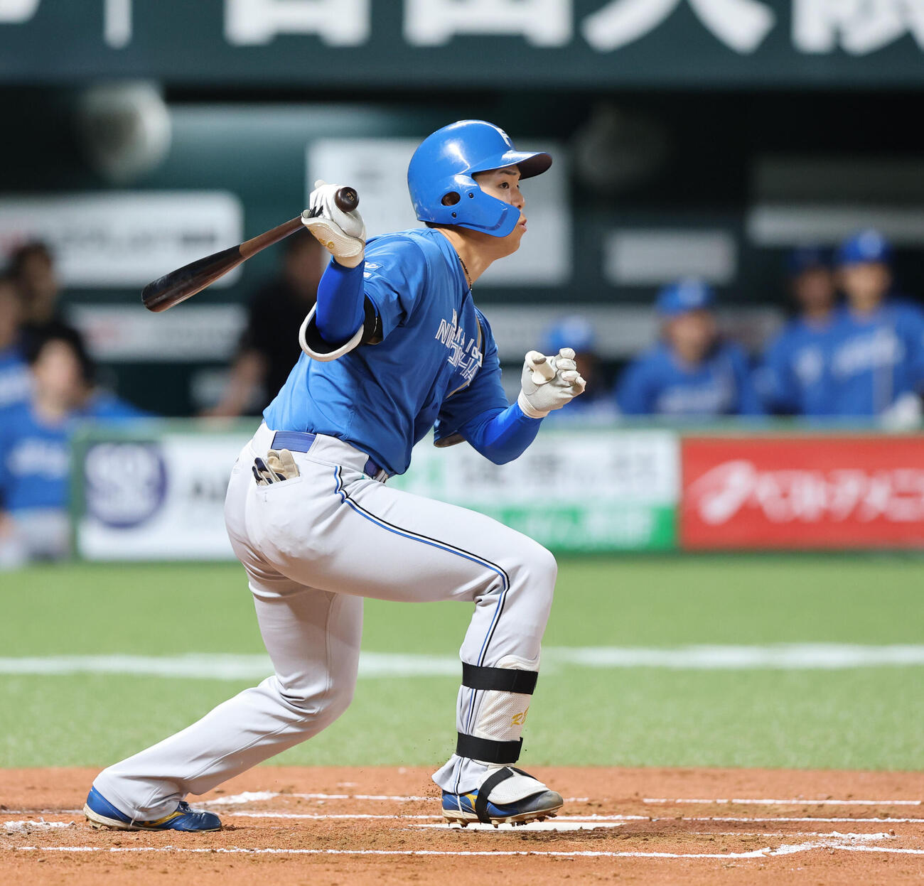 ソフトバンク日本ハム　2回表日本ハム1死一塁、柴田獅子は右前打を放つ（撮影・梅根麻紀）